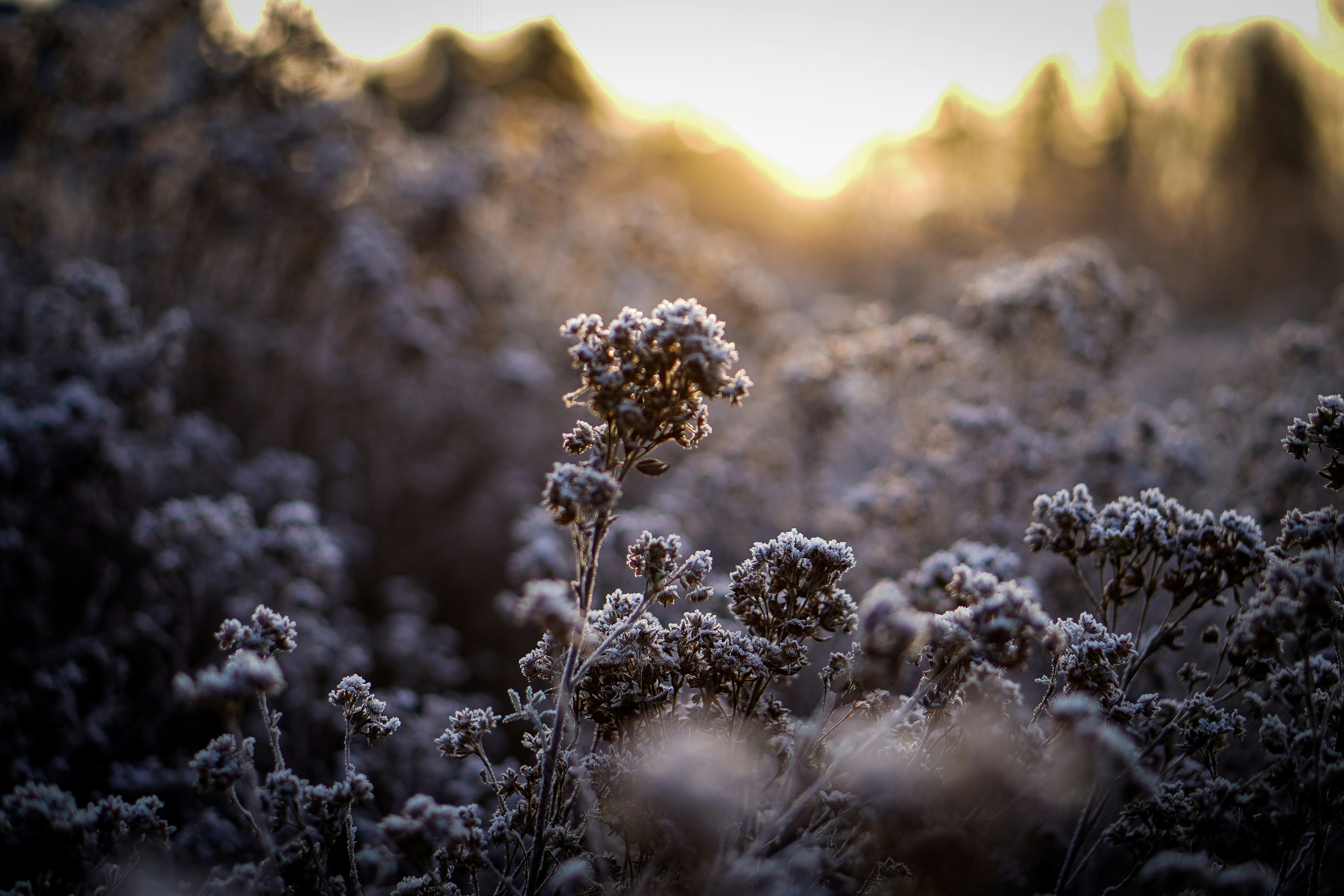 Photo by aivenieks
