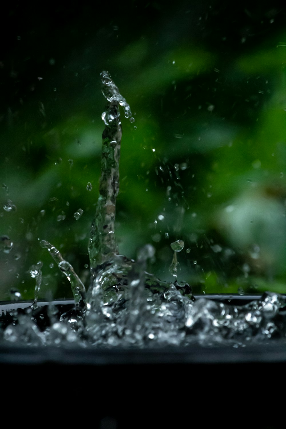 Un primo piano di una fontana d'acqua con piante verdi sullo sfondo