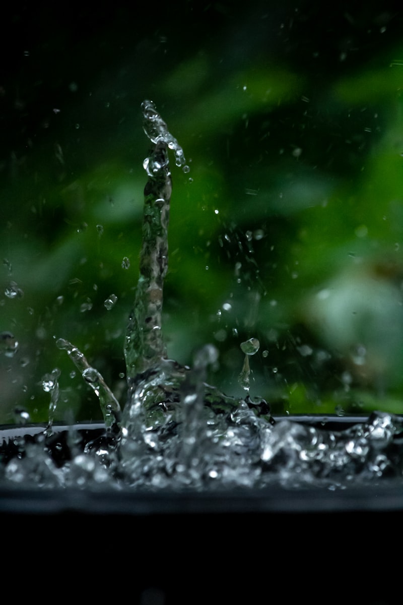 Water feature surrounded by green plants