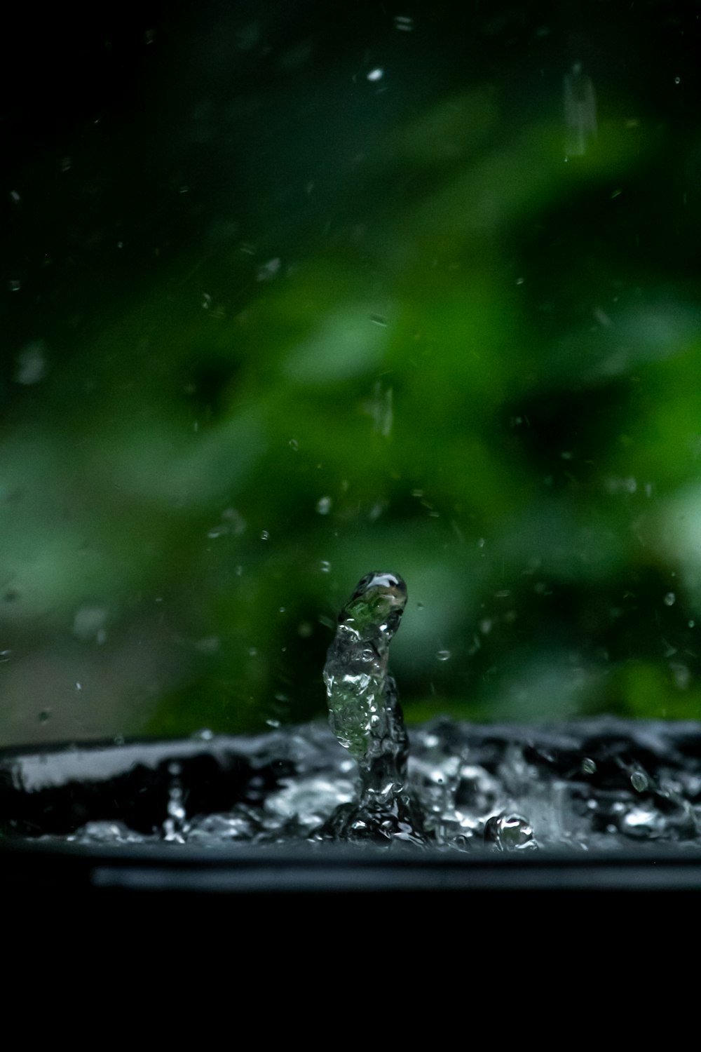 a water fountain with a green plant in the background