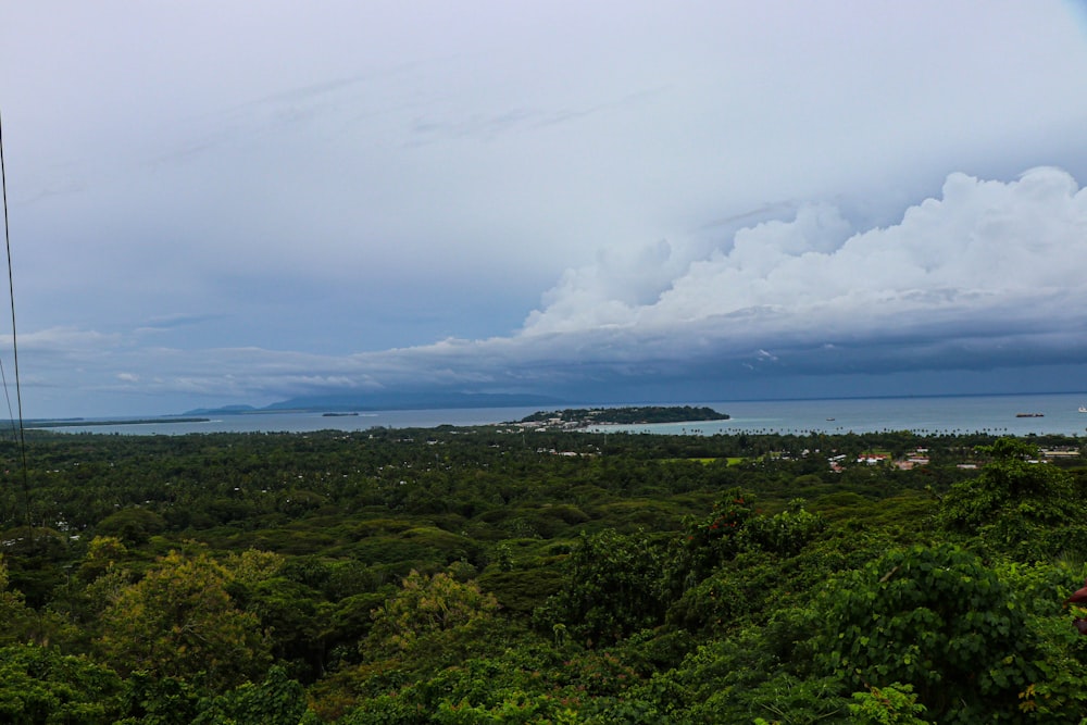 a view of the ocean from the top of a hill