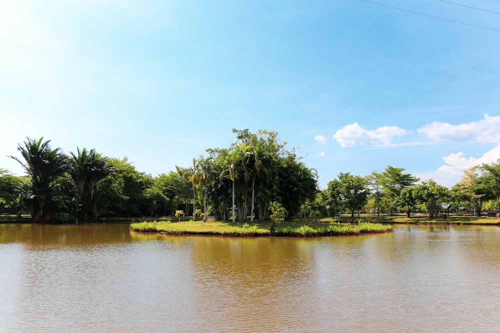 a body of water surrounded by trees and grass