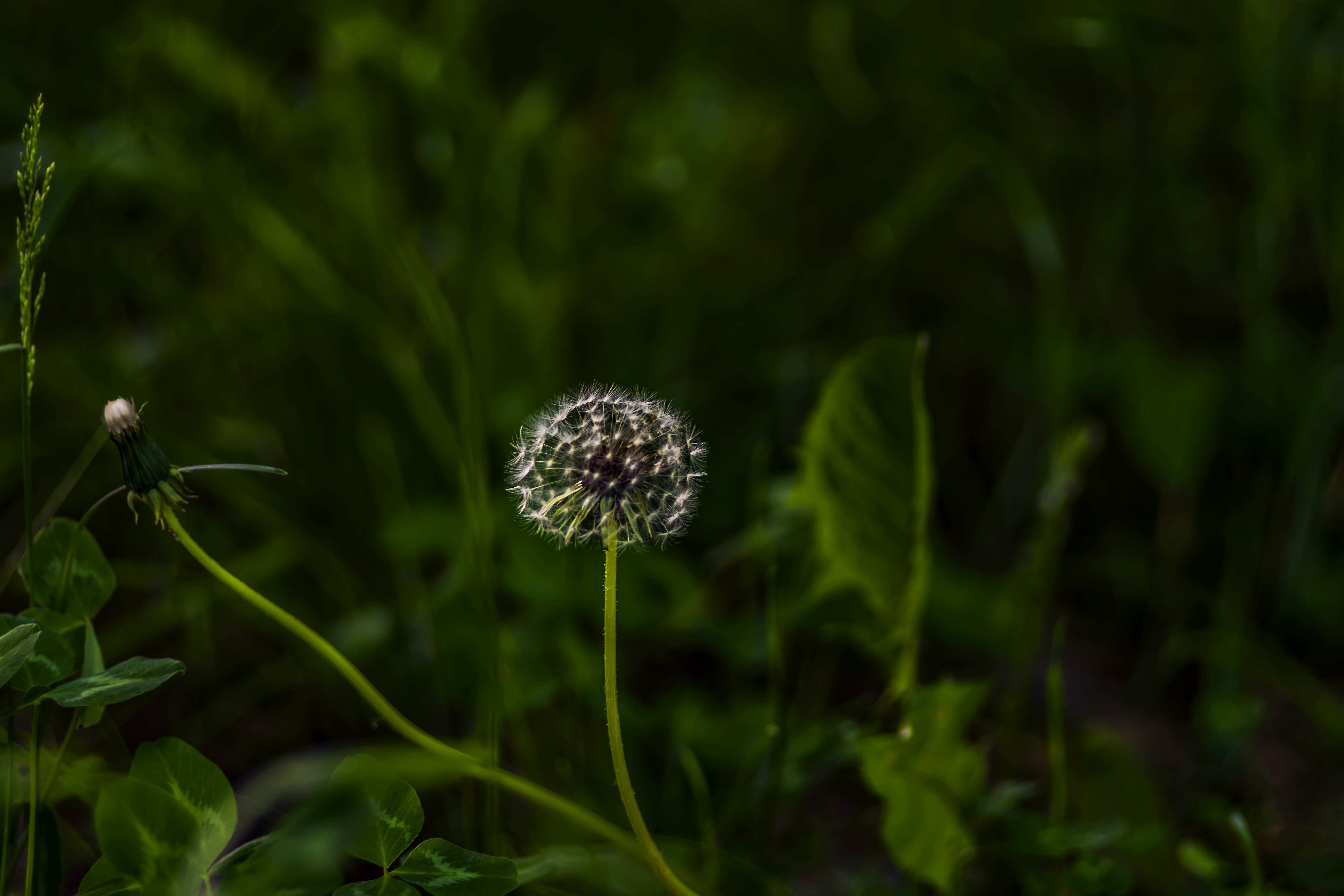 Photo by kostiantynvierkieiev