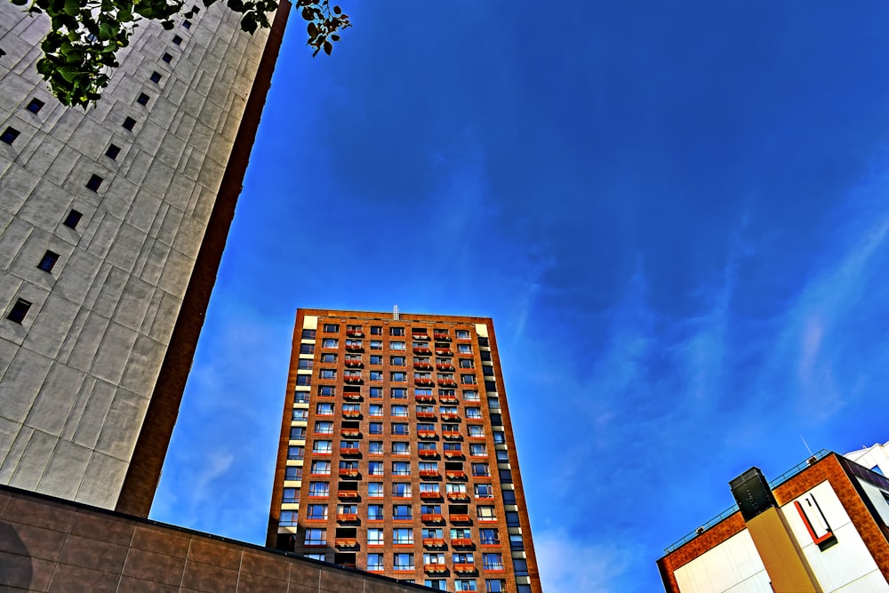 a view of a tall building from the ground