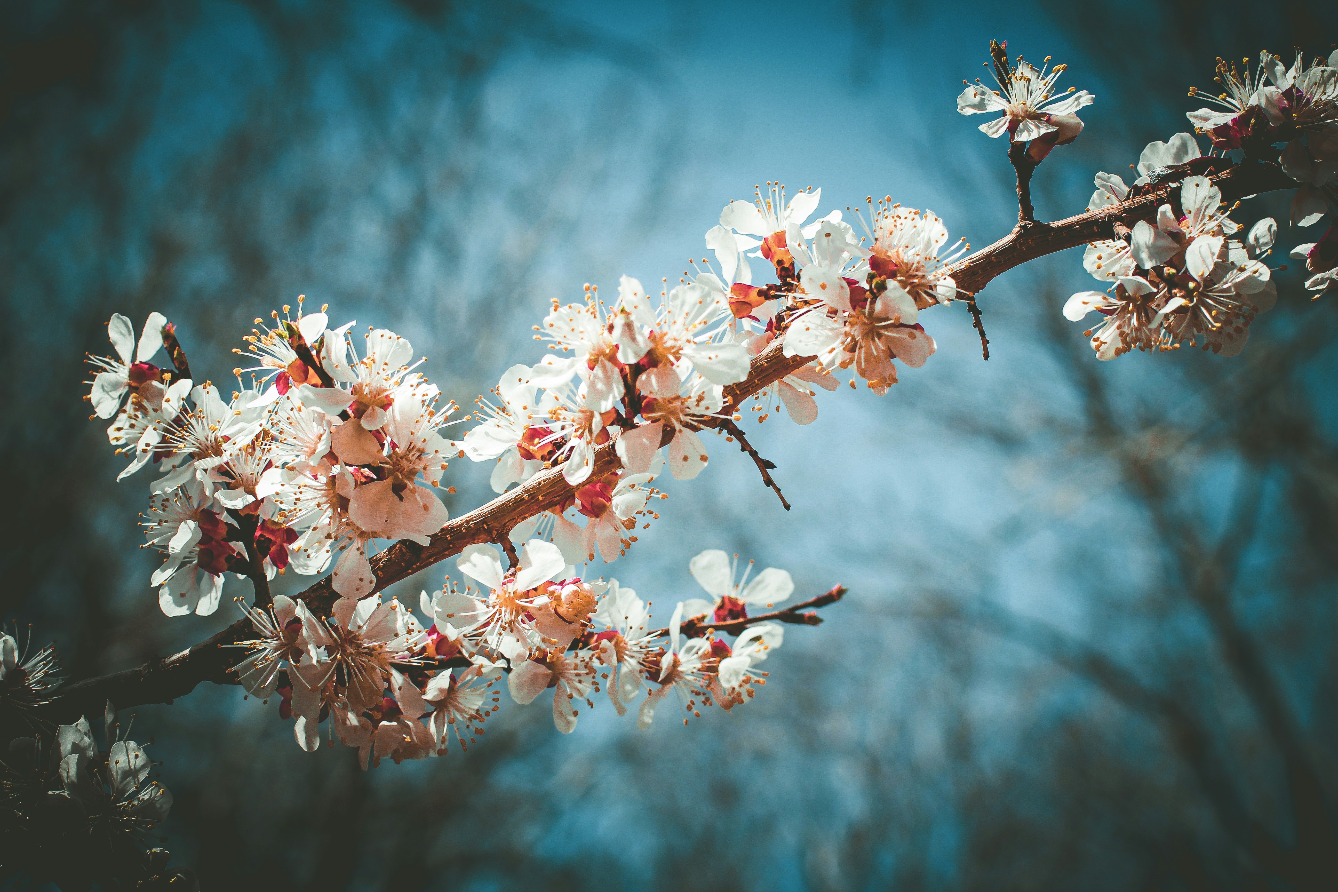 Photo by hossein_hosseini