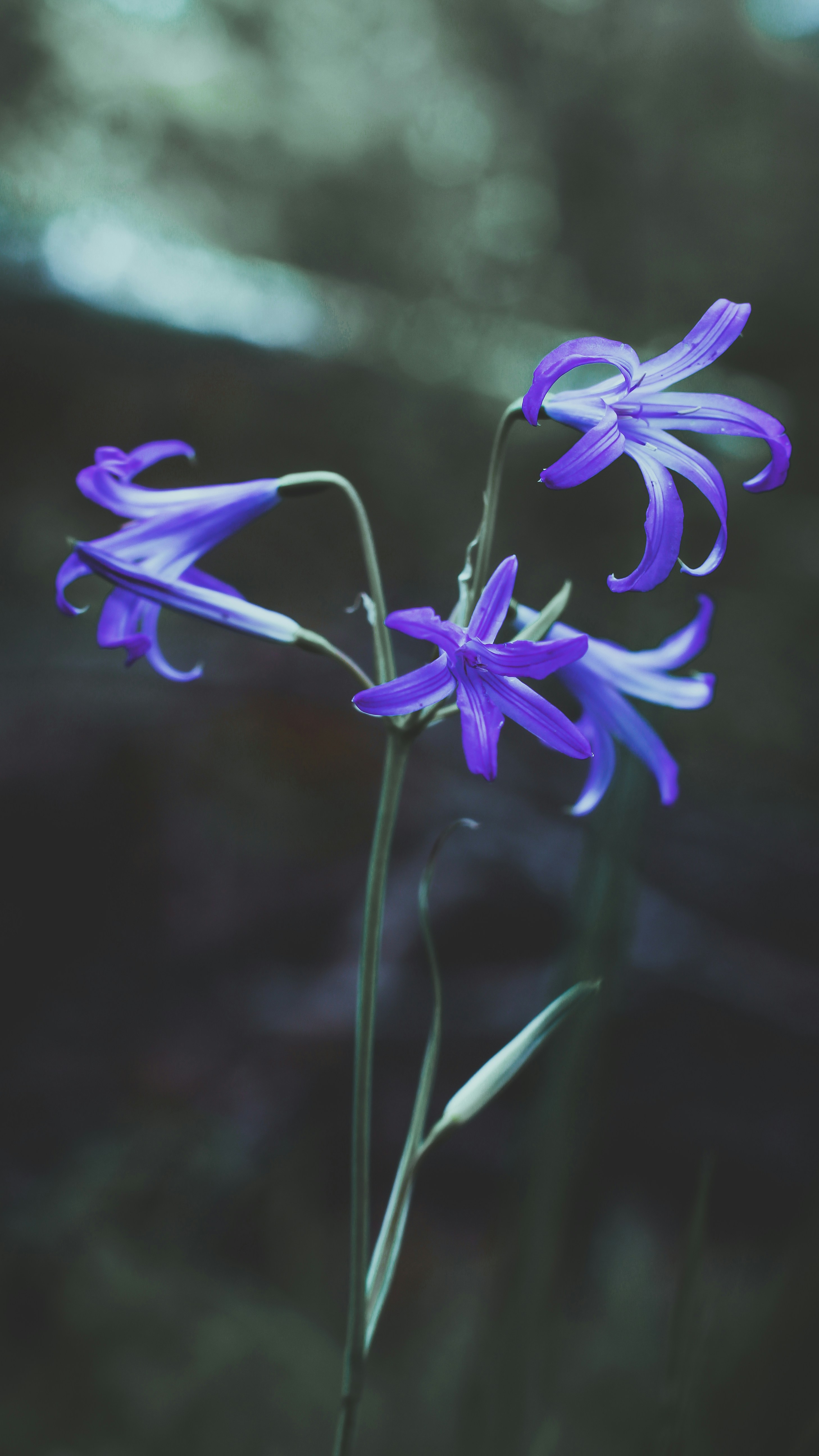 Photo by hossein_hosseini