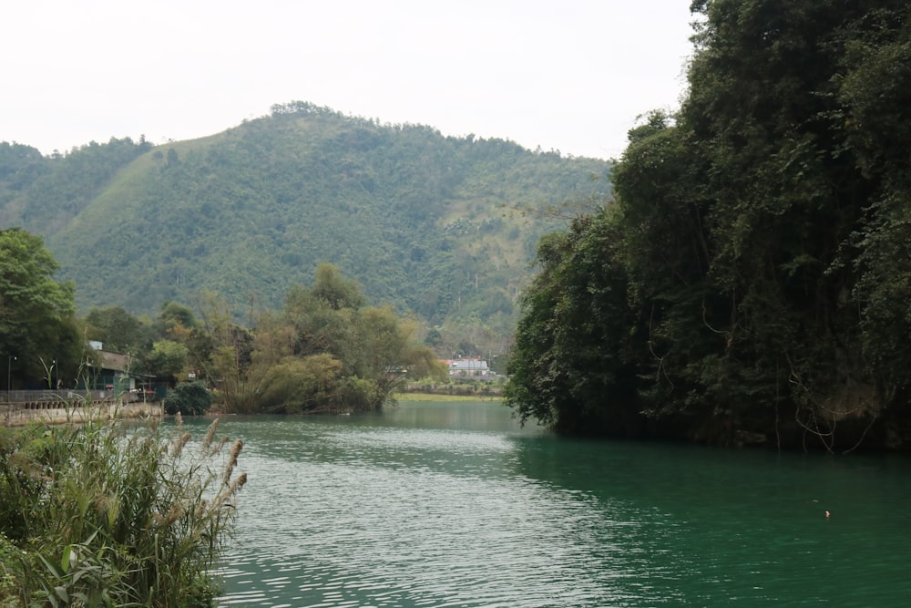 um corpo de água cercado por árvores e montanhas