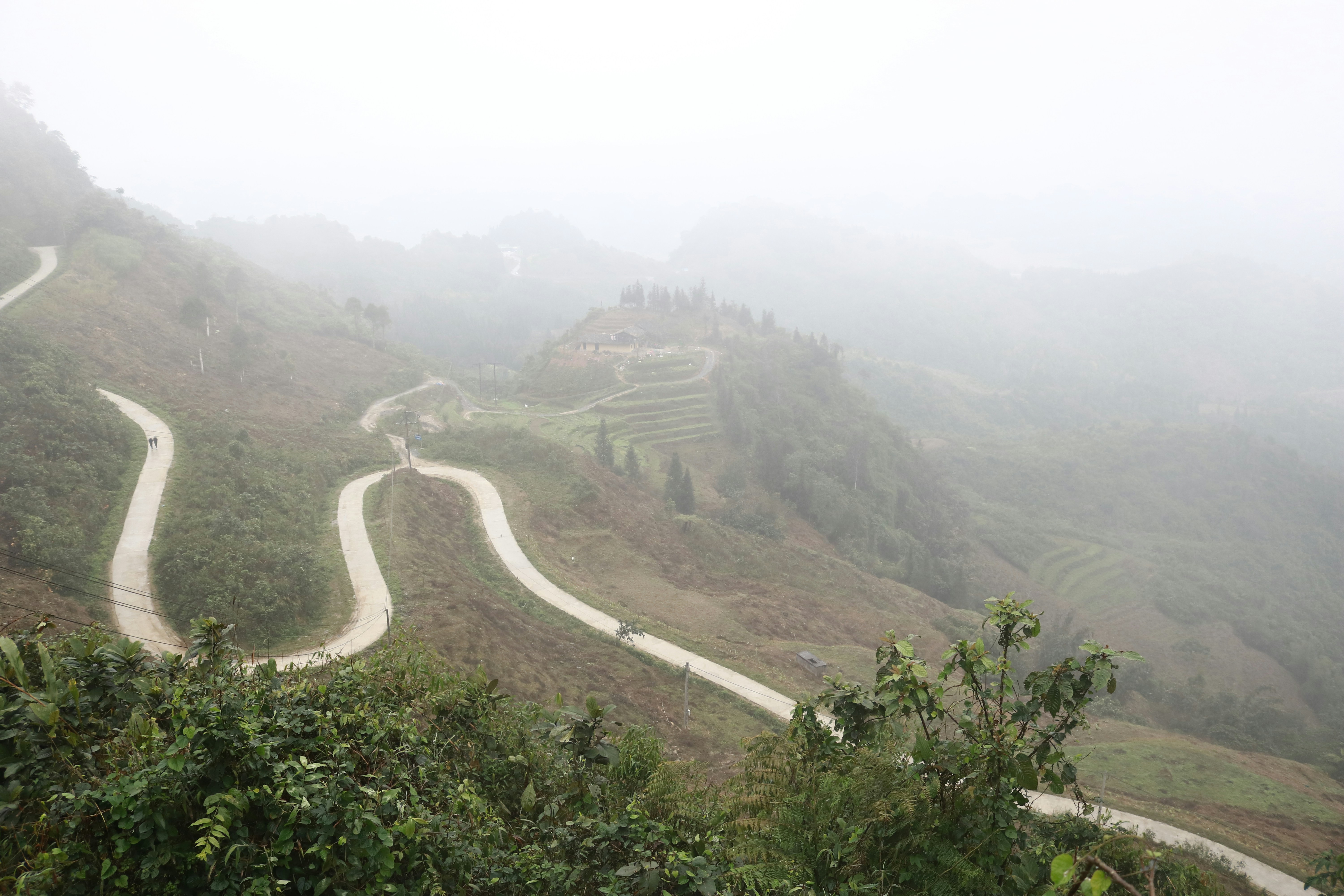 Photo by phuonganh1199