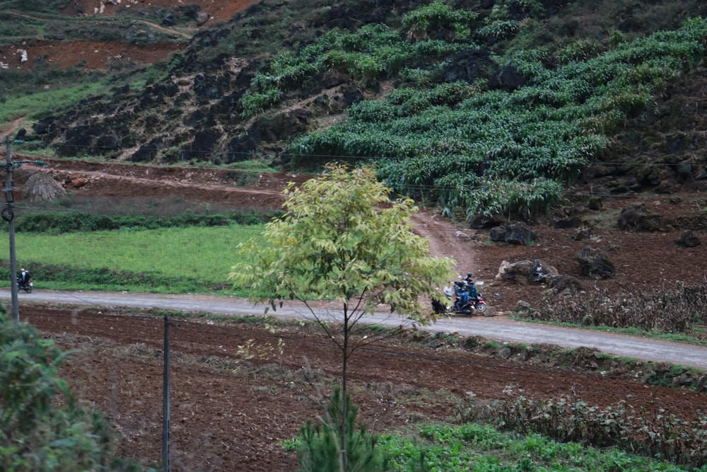 Eine Person, die mit einem Motorrad auf einem Feldweg fährt