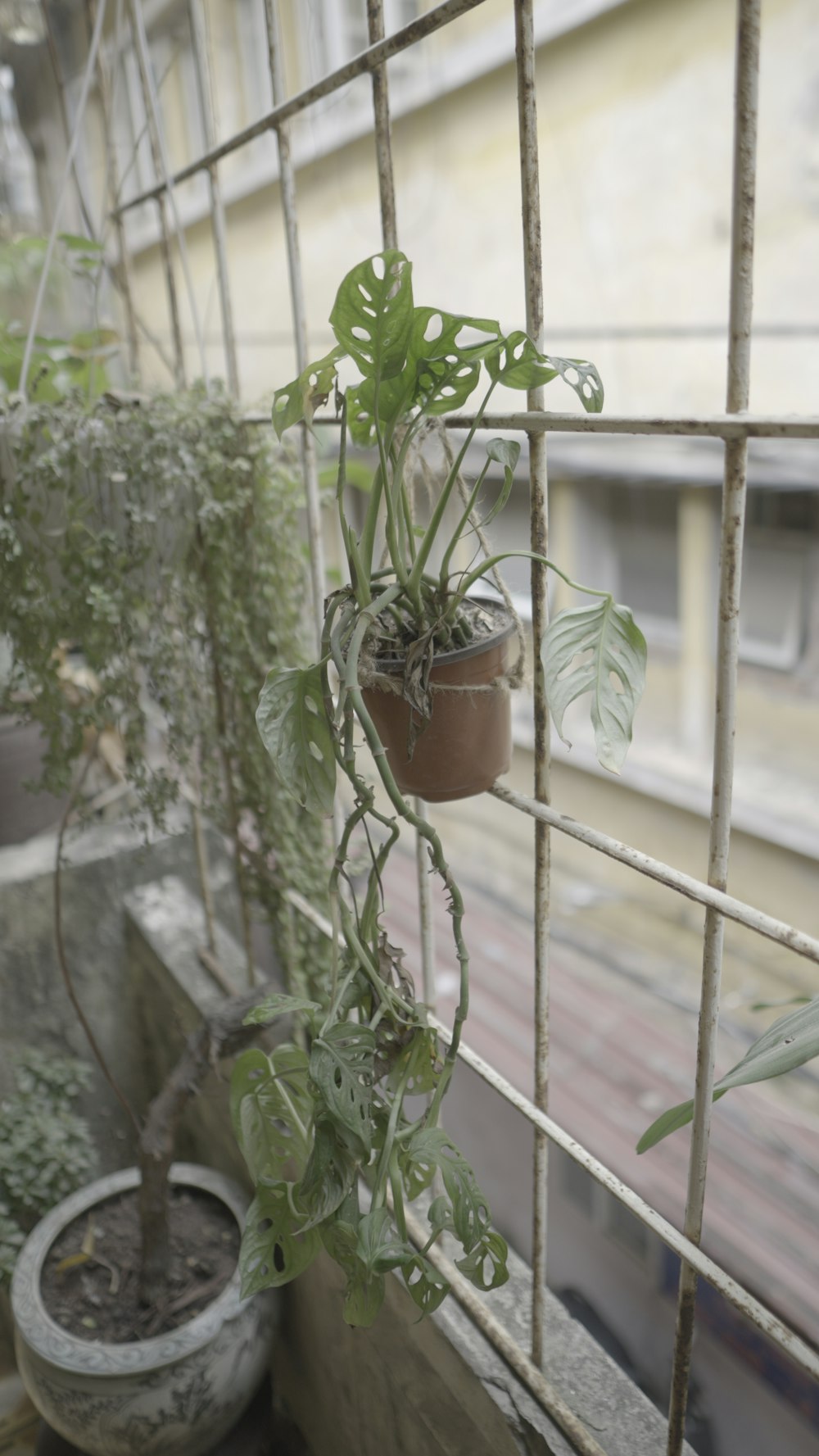 a window sill with a potted plant on it