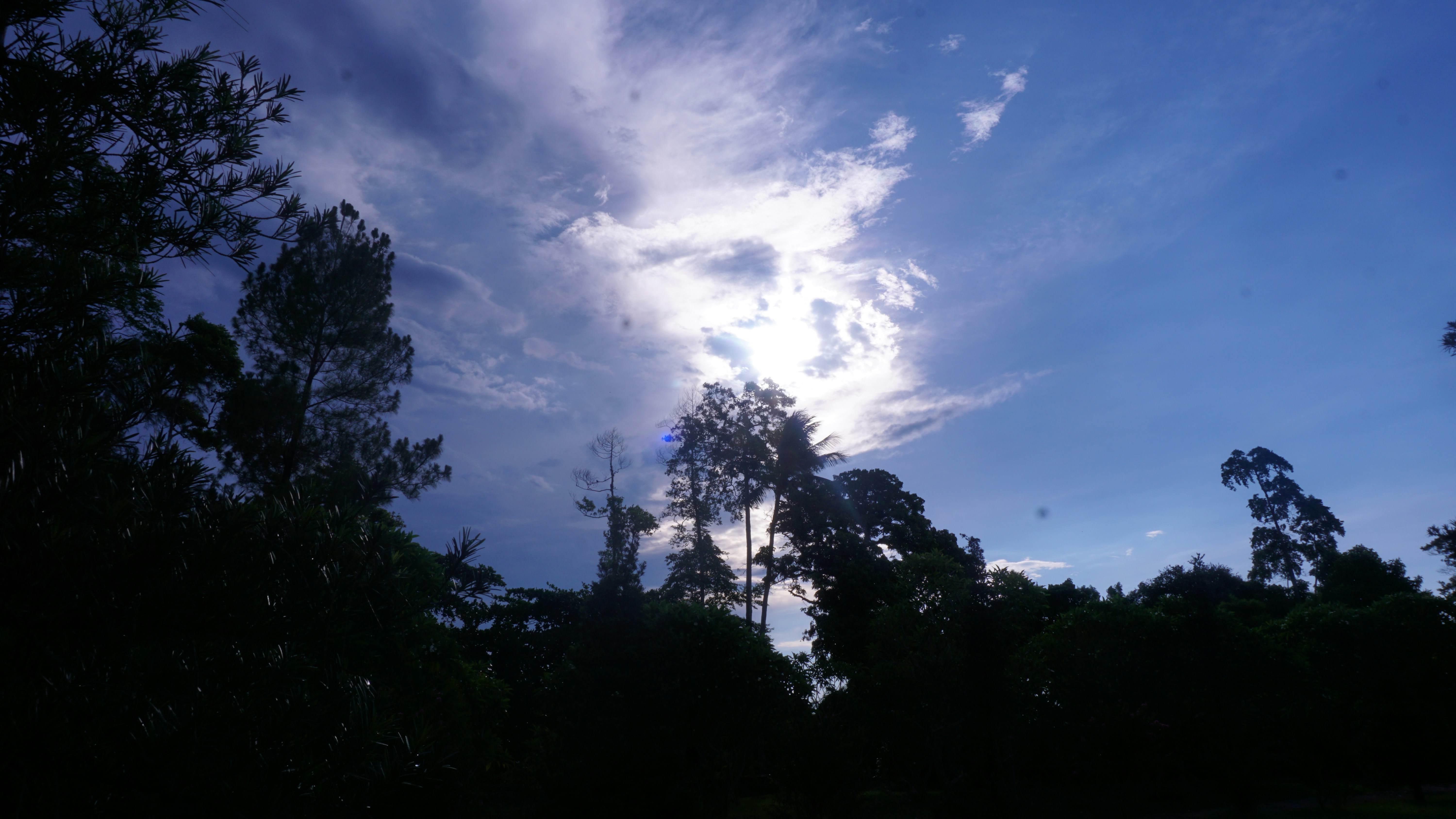 the sun shines through the clouds above the trees, 