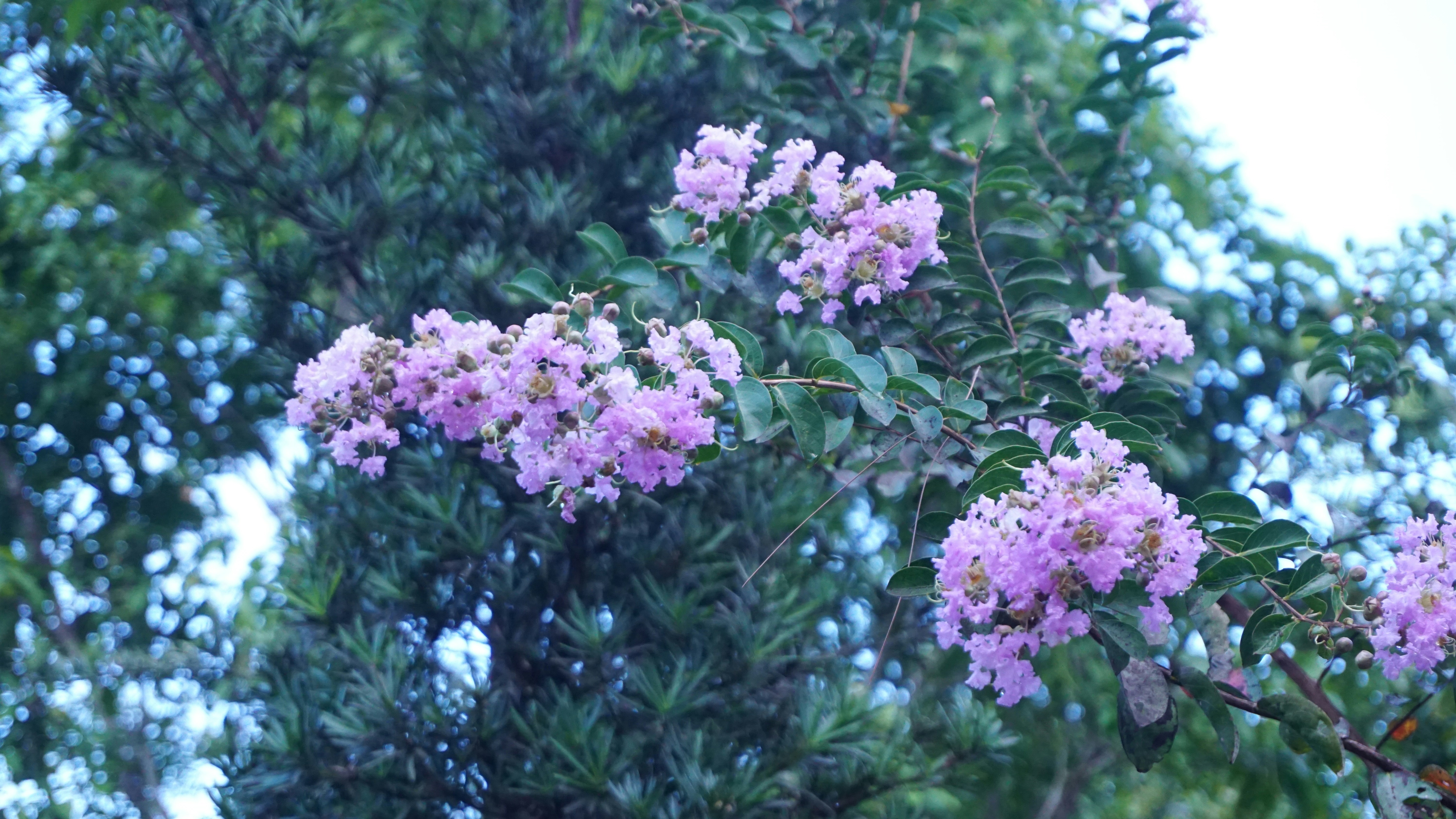 Photo by phuonganh1199