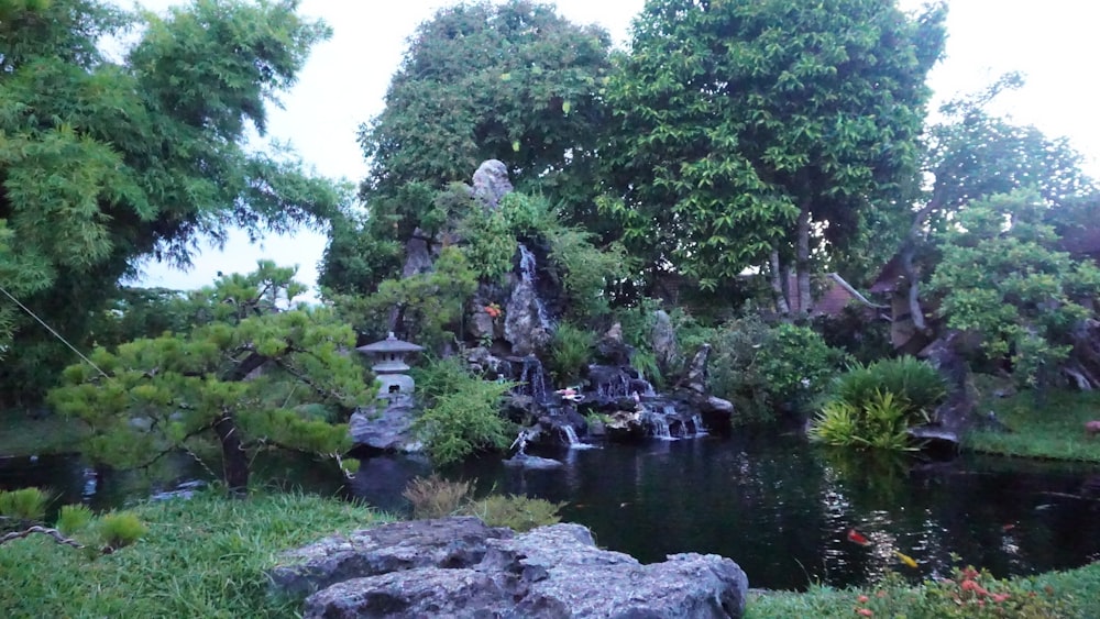 a small pond surrounded by trees and rocks