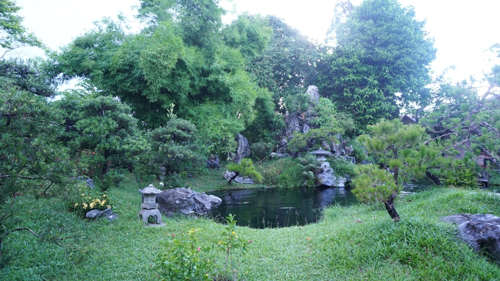 a small pond surrounded by rocks and trees