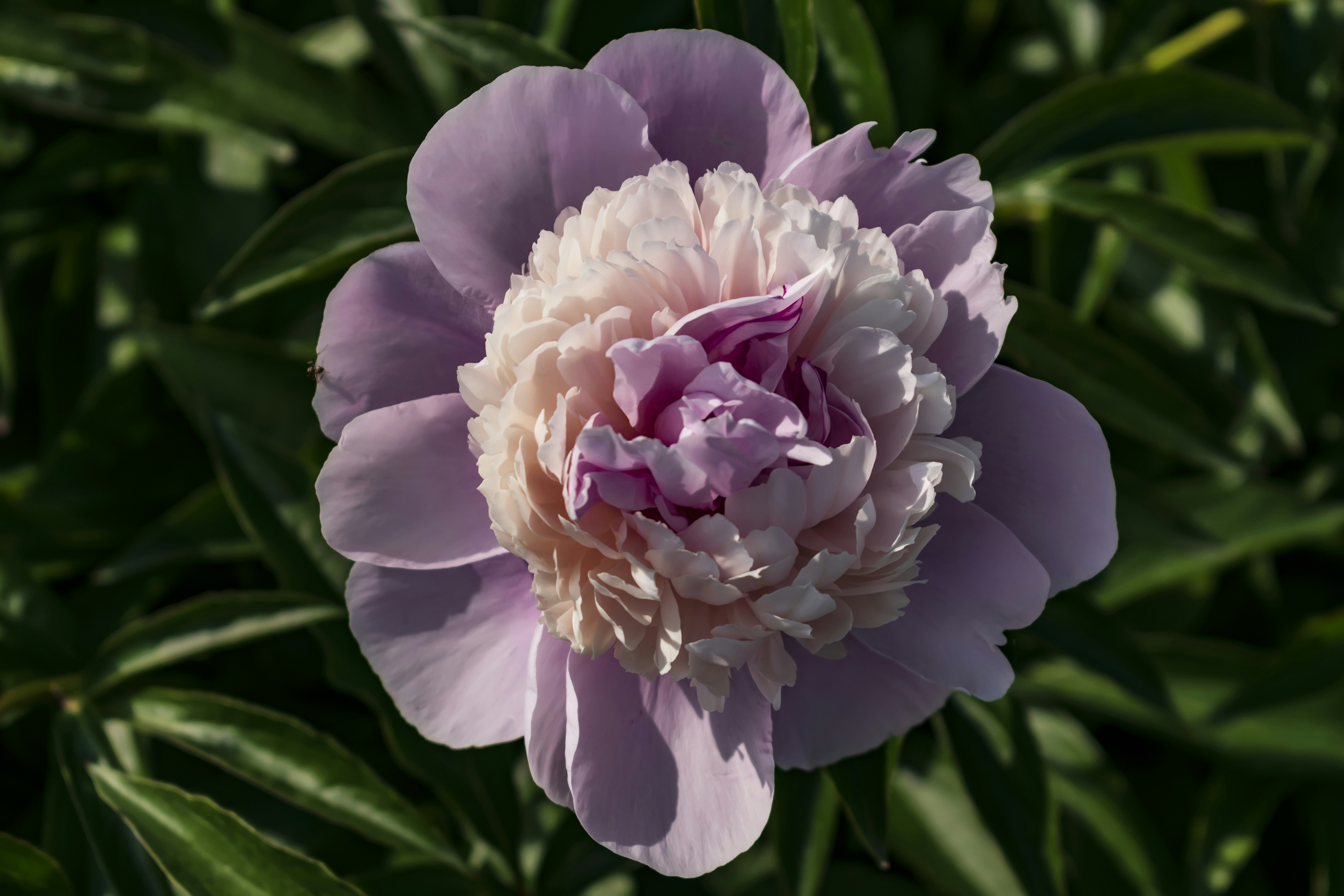 Photo by kostiantynvierkieiev