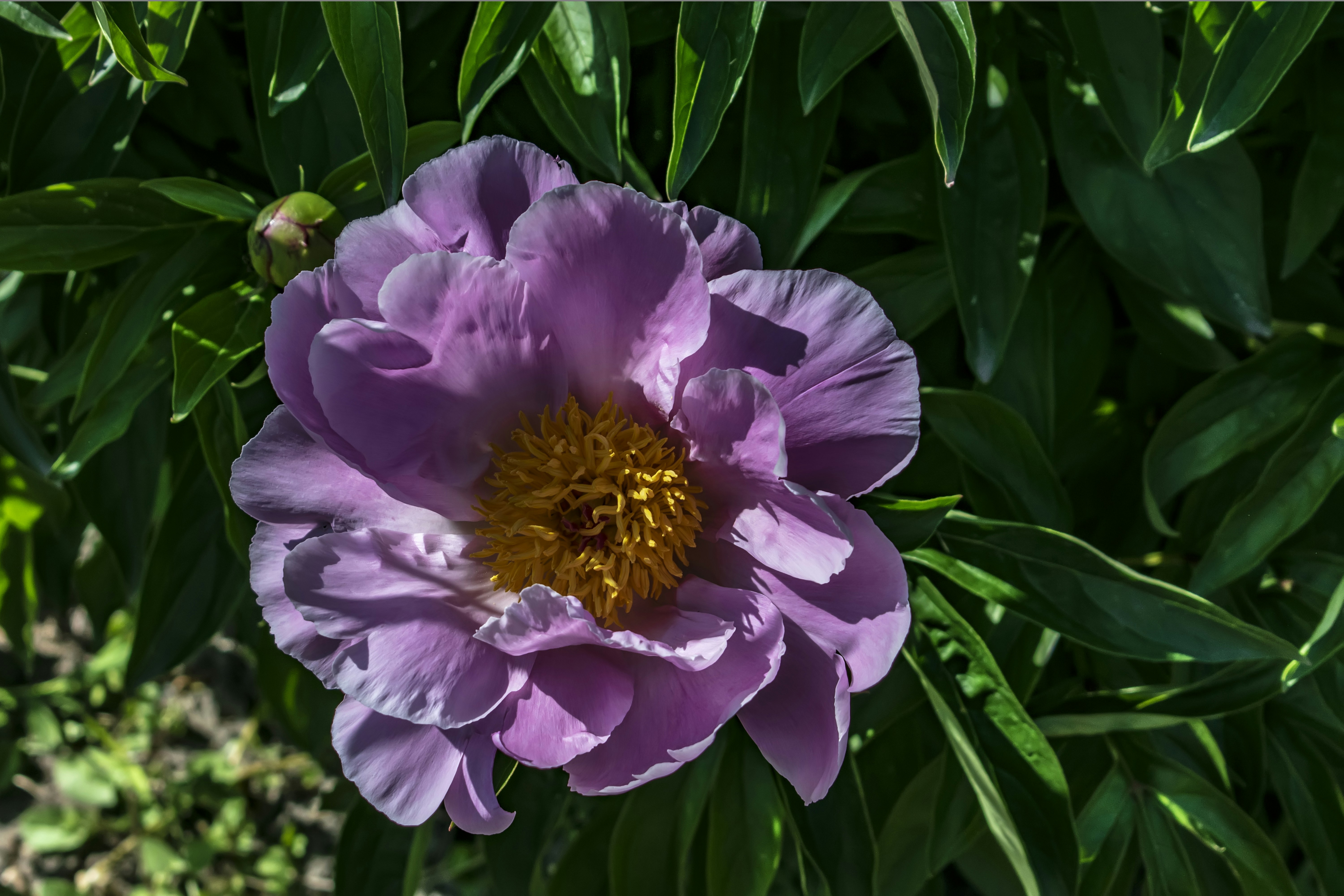 Photo by kostiantynvierkieiev