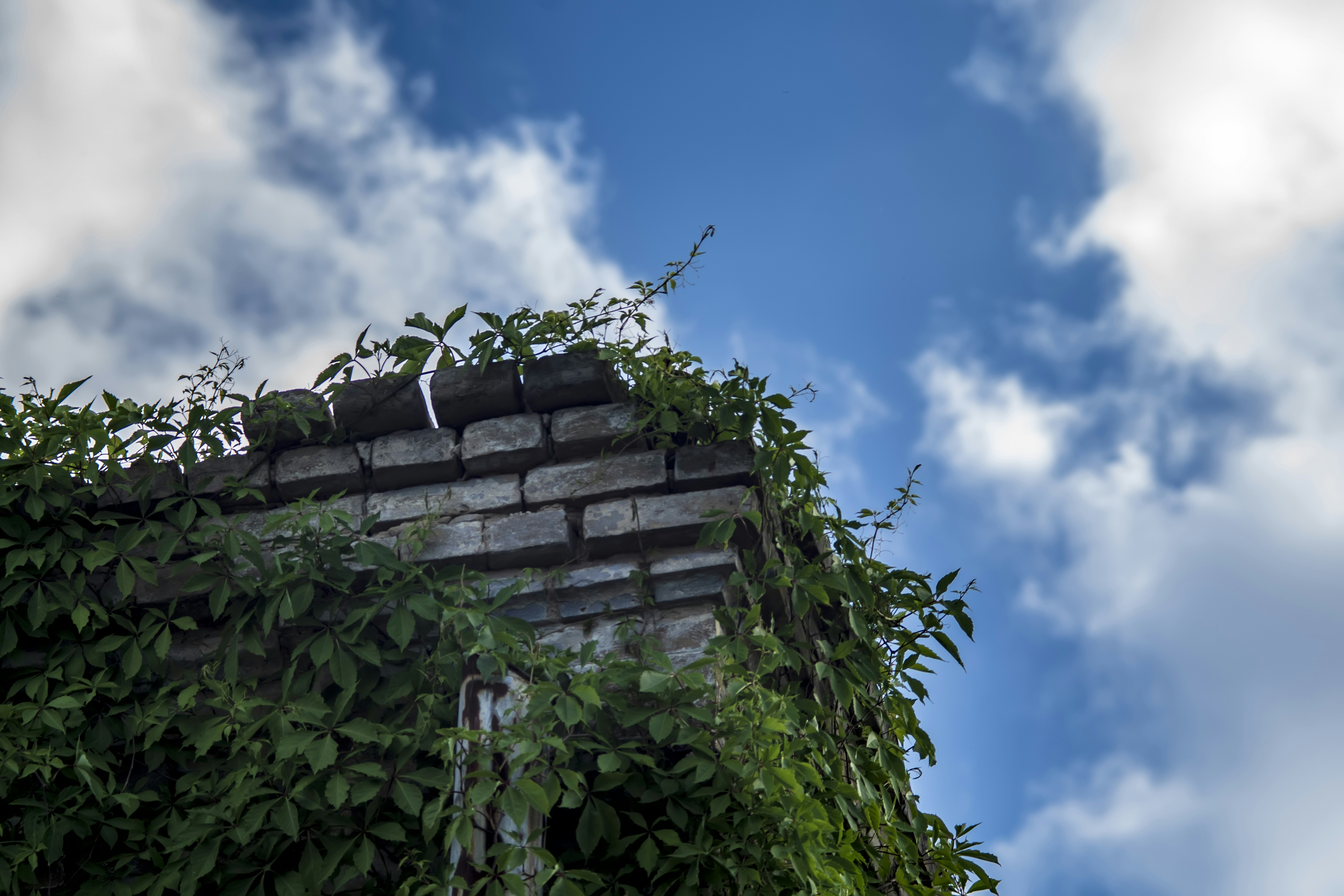 Photo by kostiantynvierkieiev