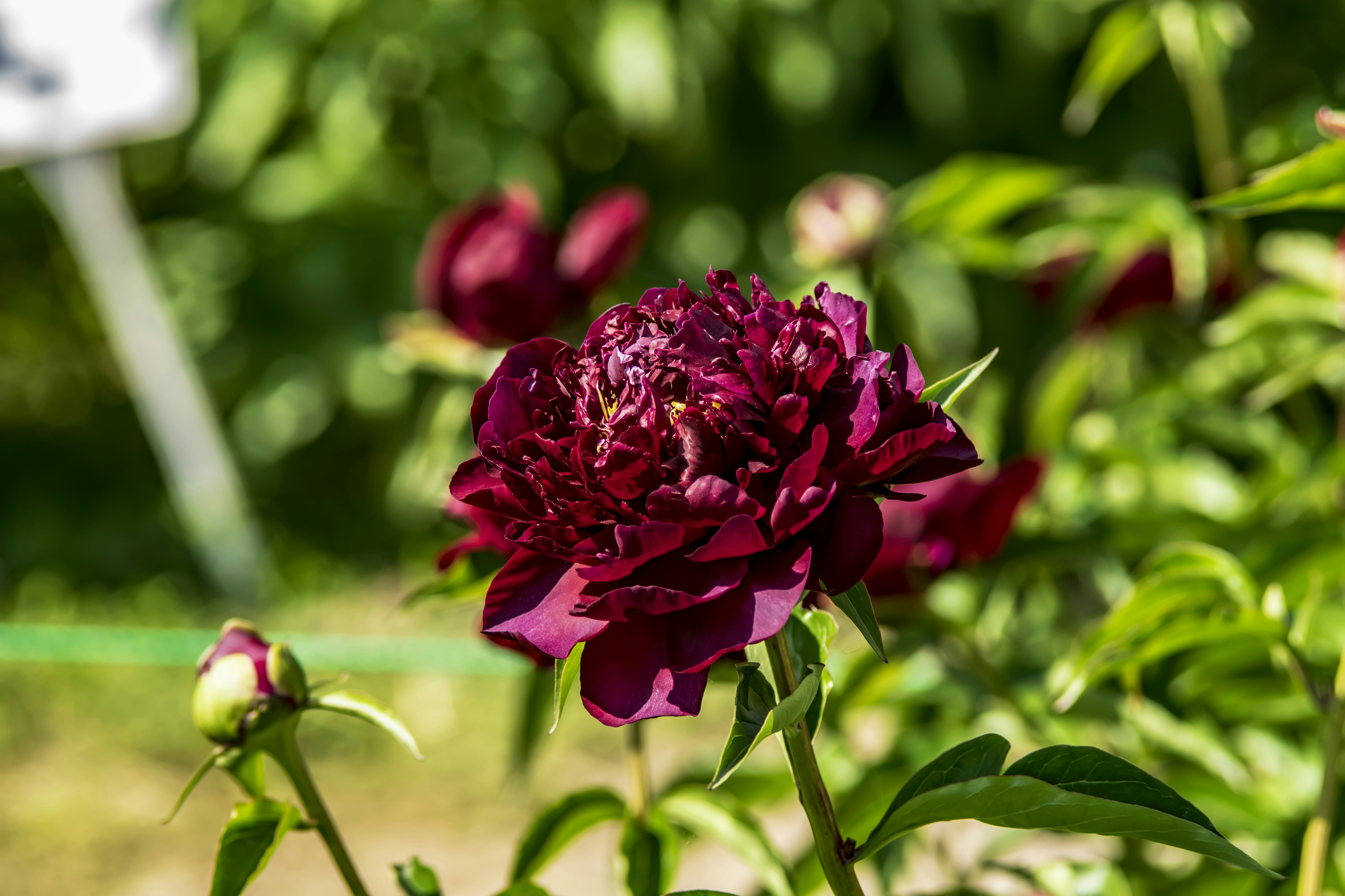 Photo by kostiantynvierkieiev