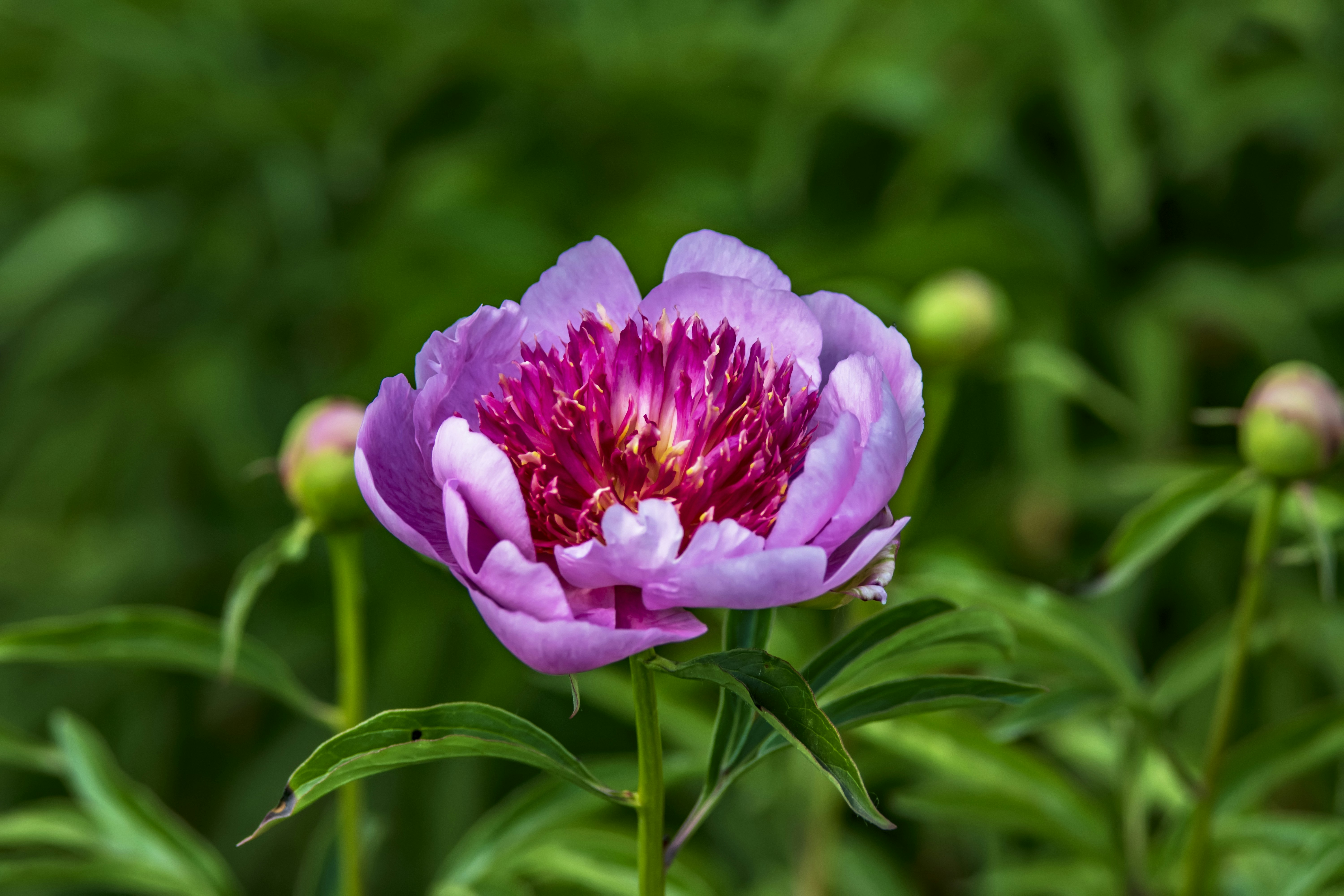 Photo by kostiantynvierkieiev