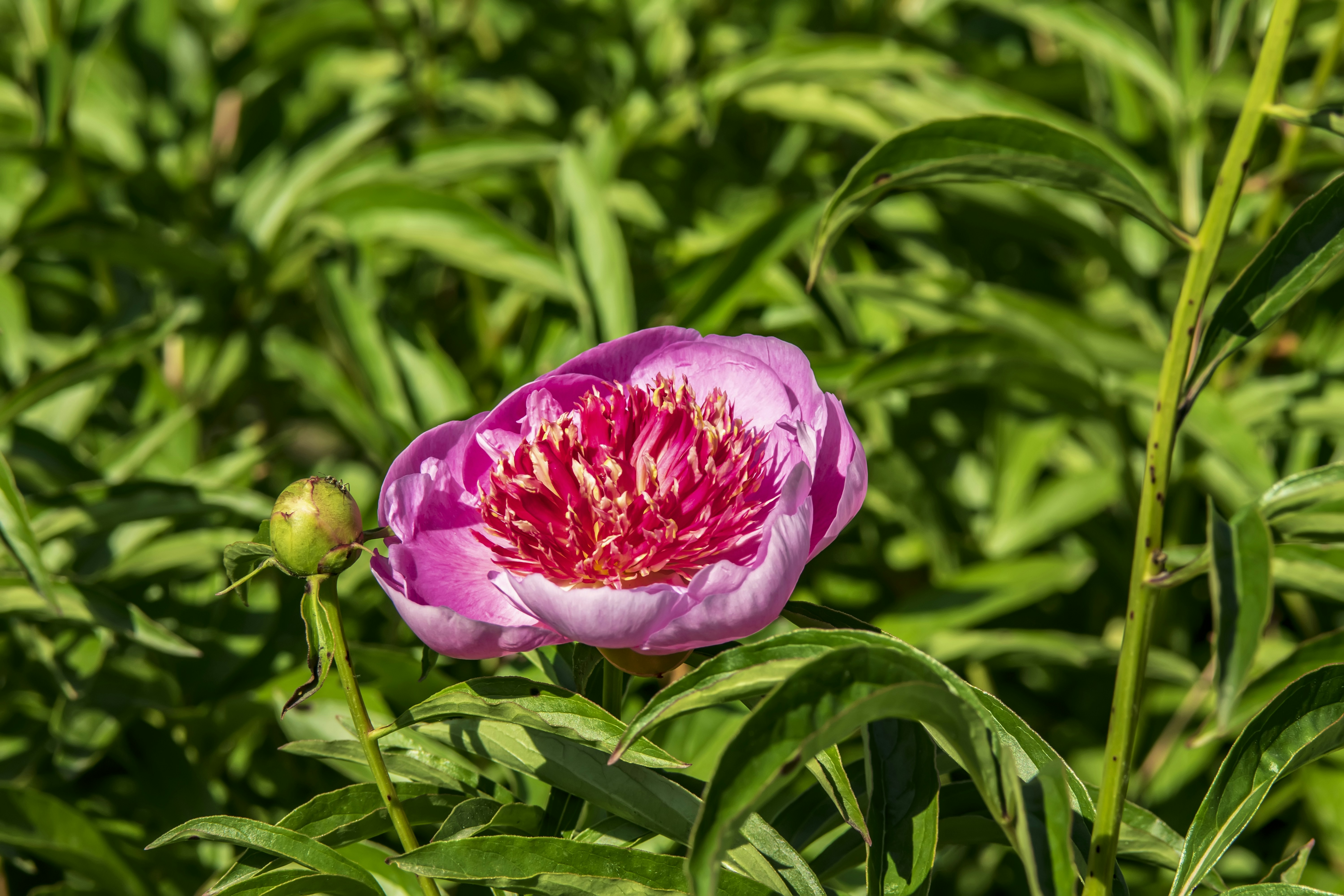 Photo by kostiantynvierkieiev