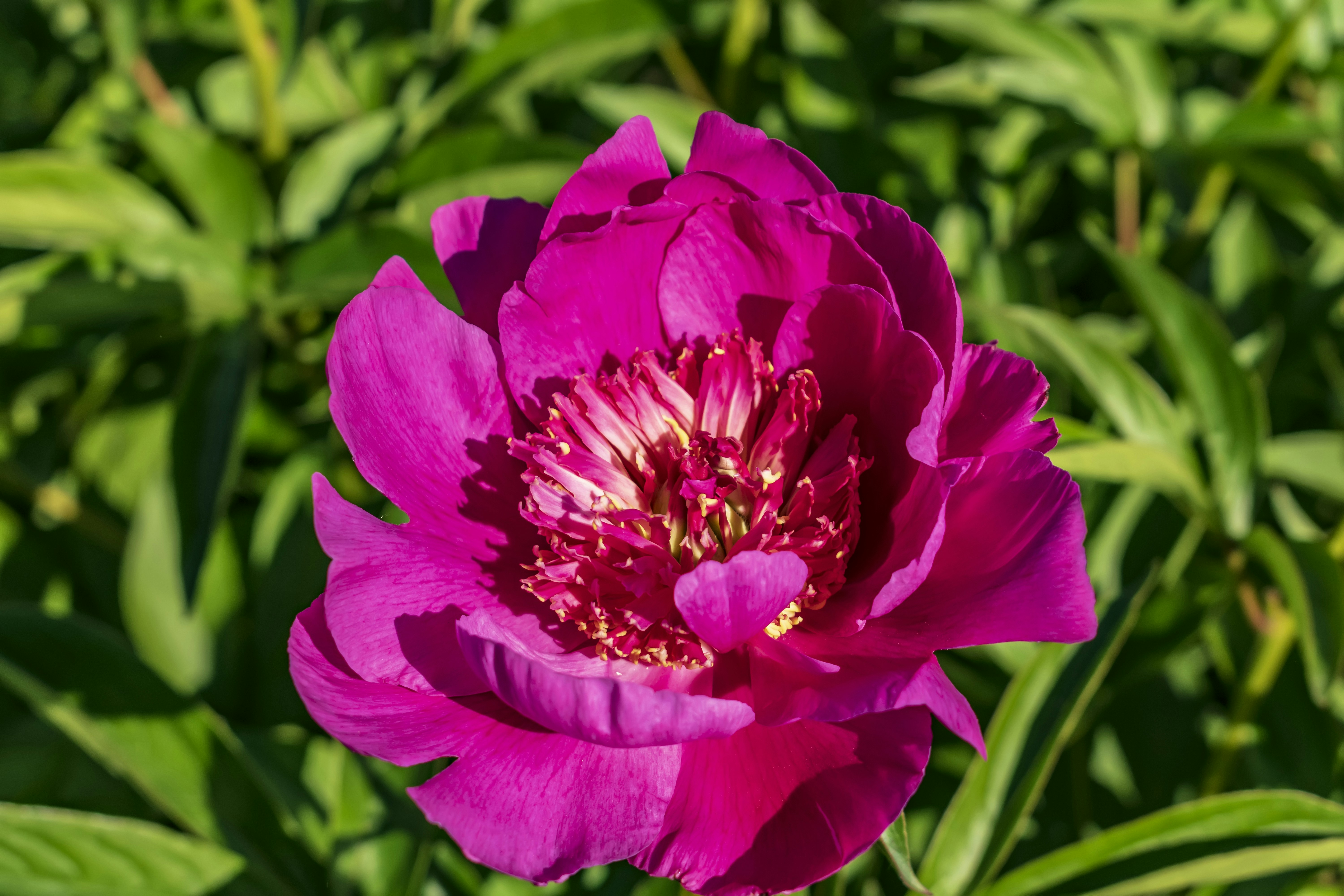 Photo by kostiantynvierkieiev