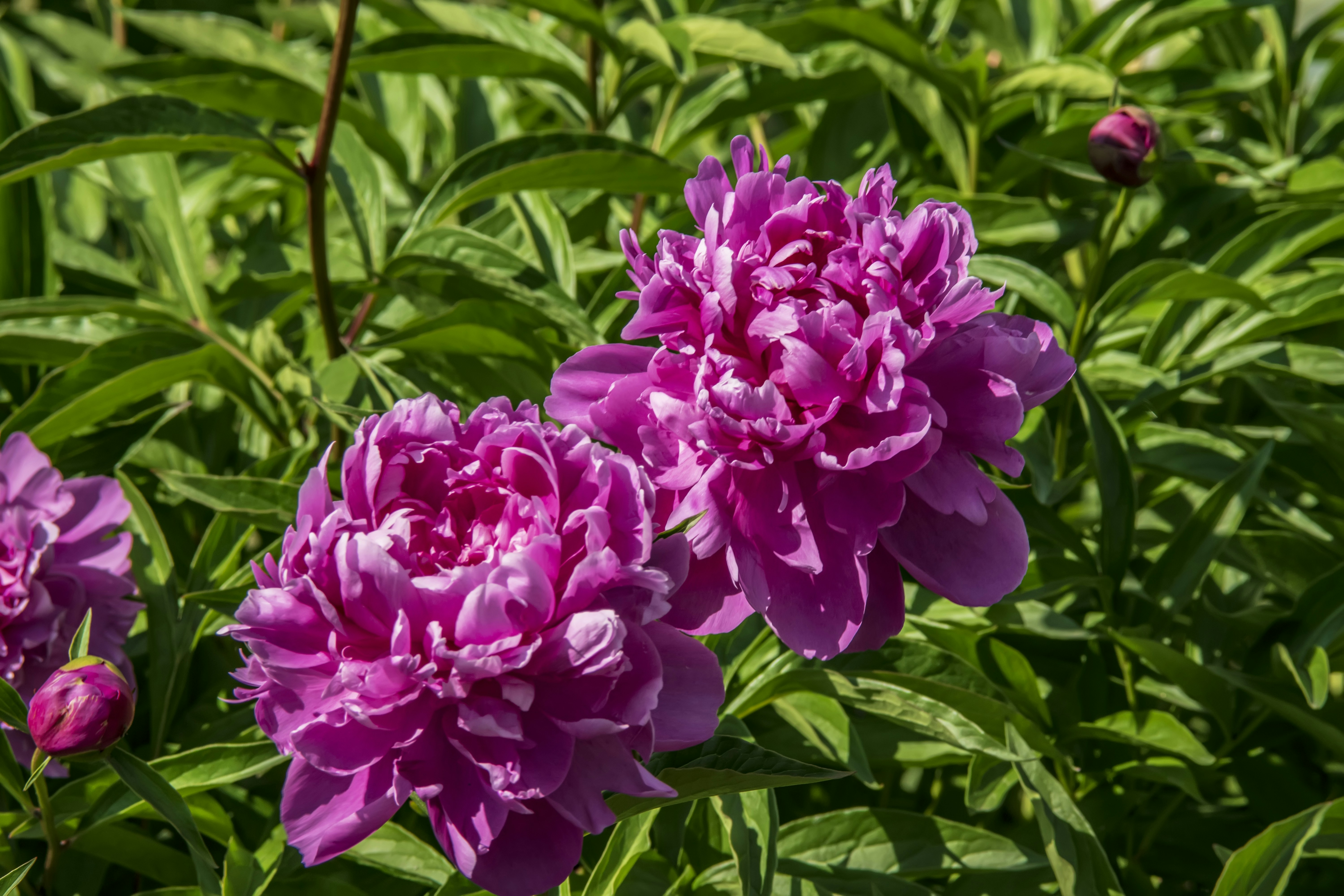 Photo by kostiantynvierkieiev