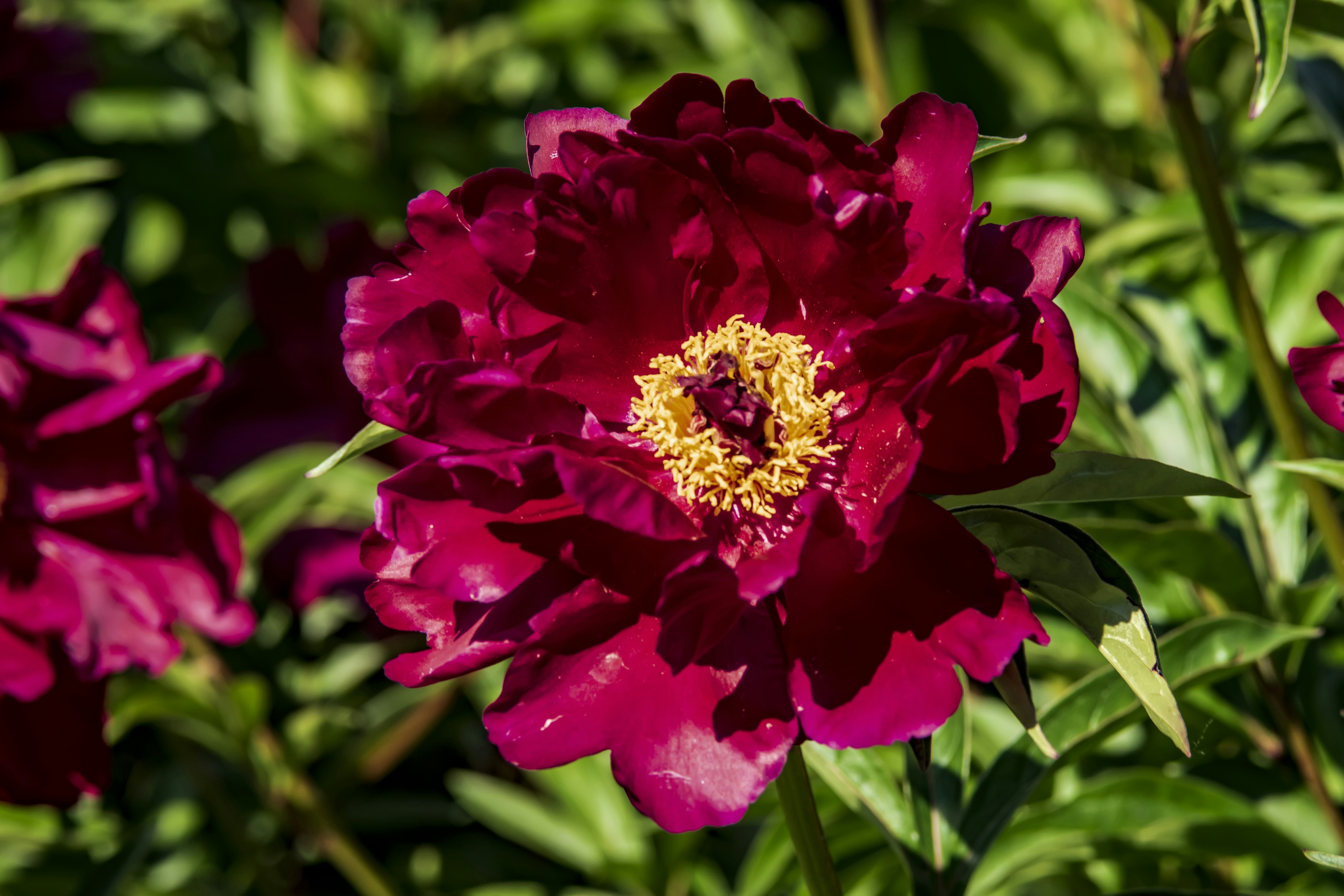 Photo by kostiantynvierkieiev