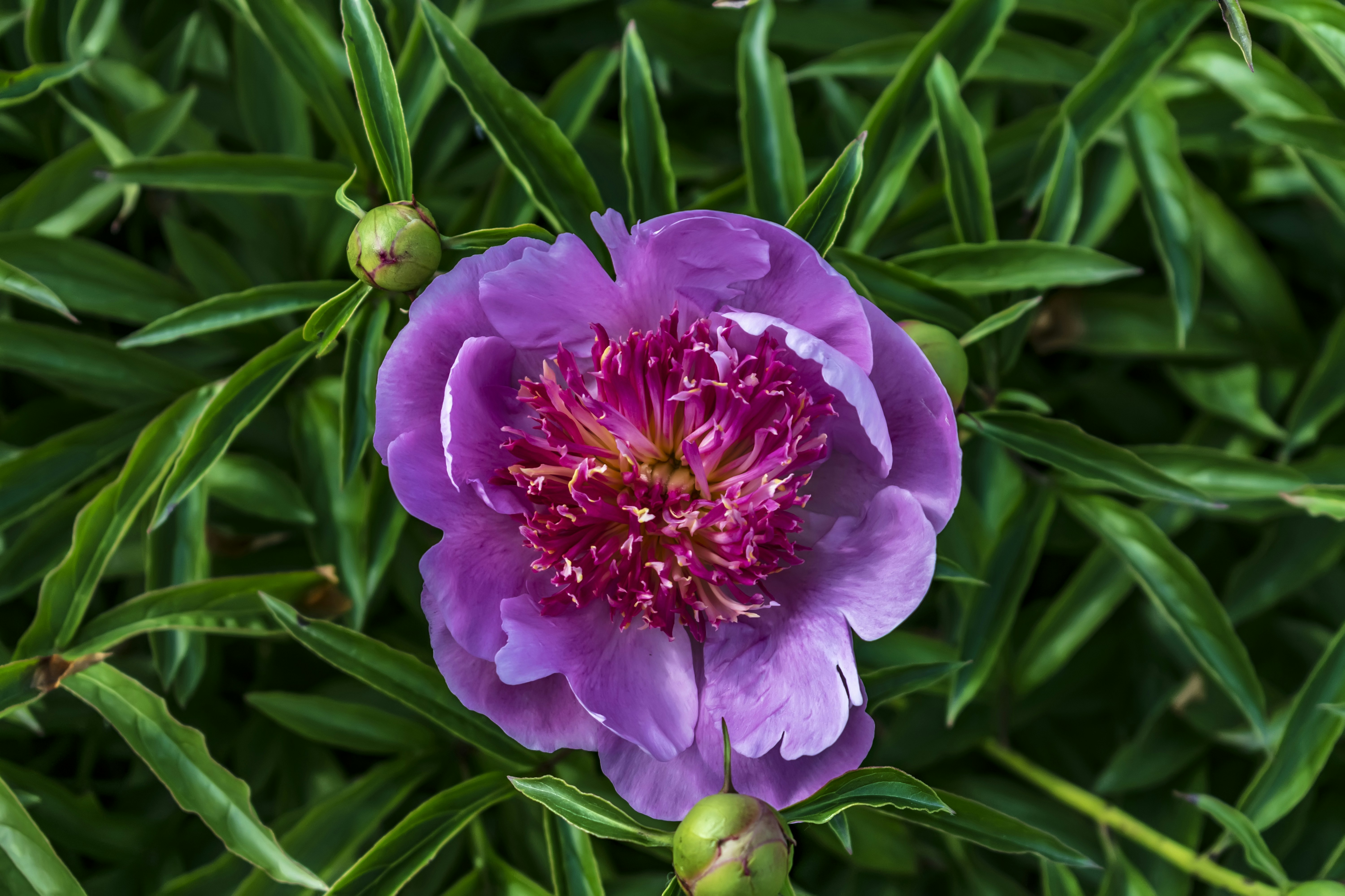 Photo by kostiantynvierkieiev