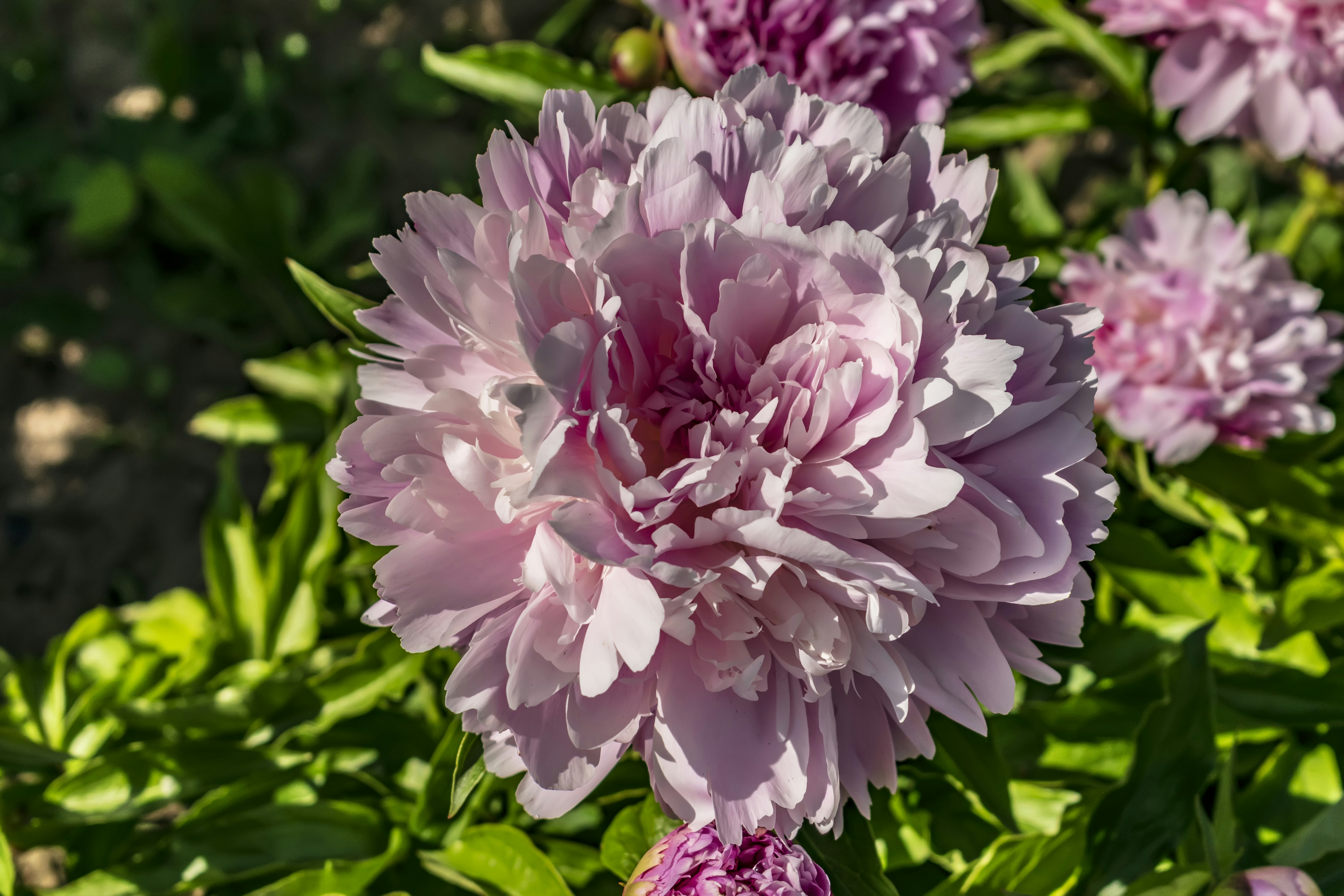 Photo by kostiantynvierkieiev