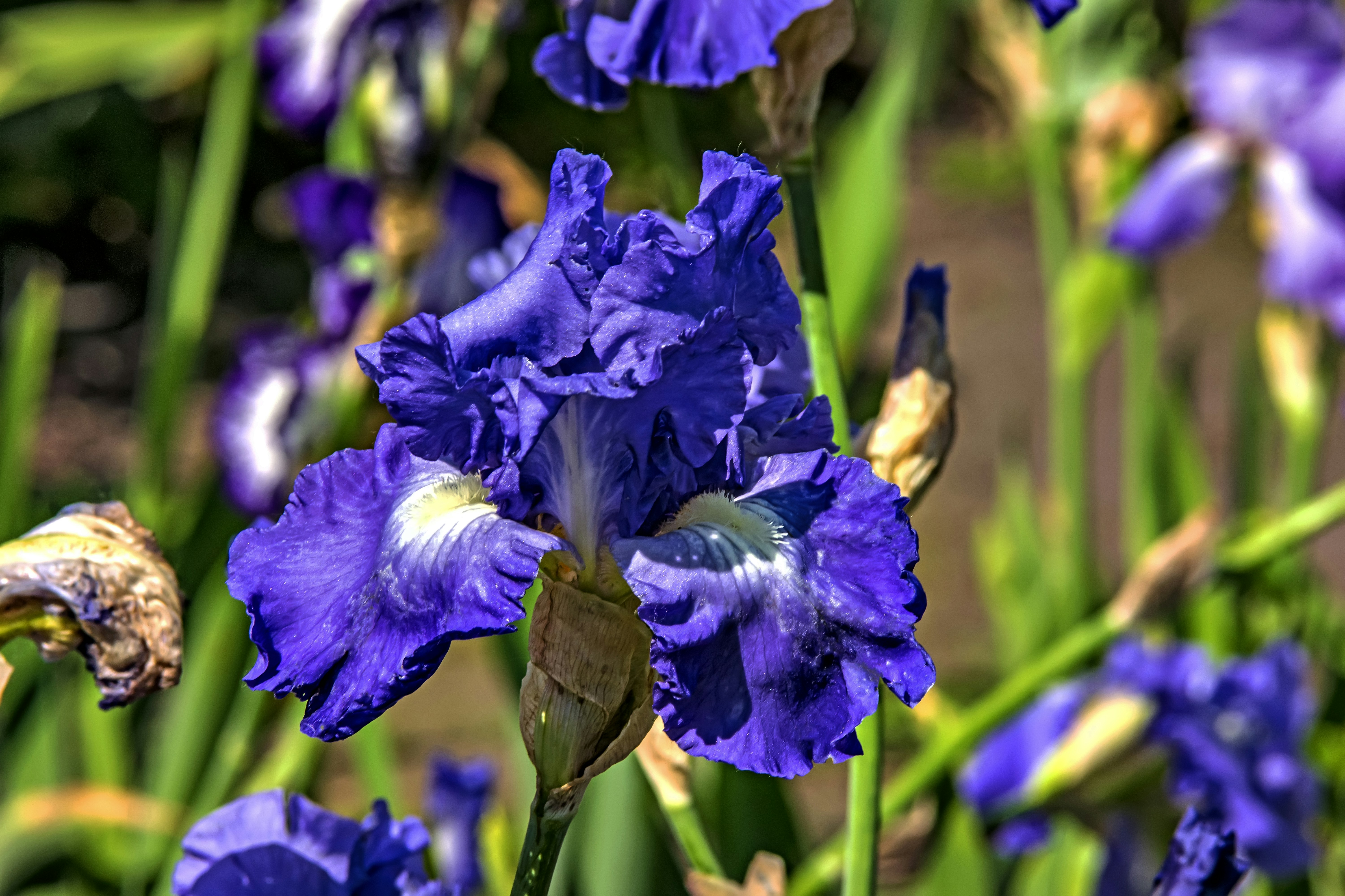 Photo by kostiantynvierkieiev