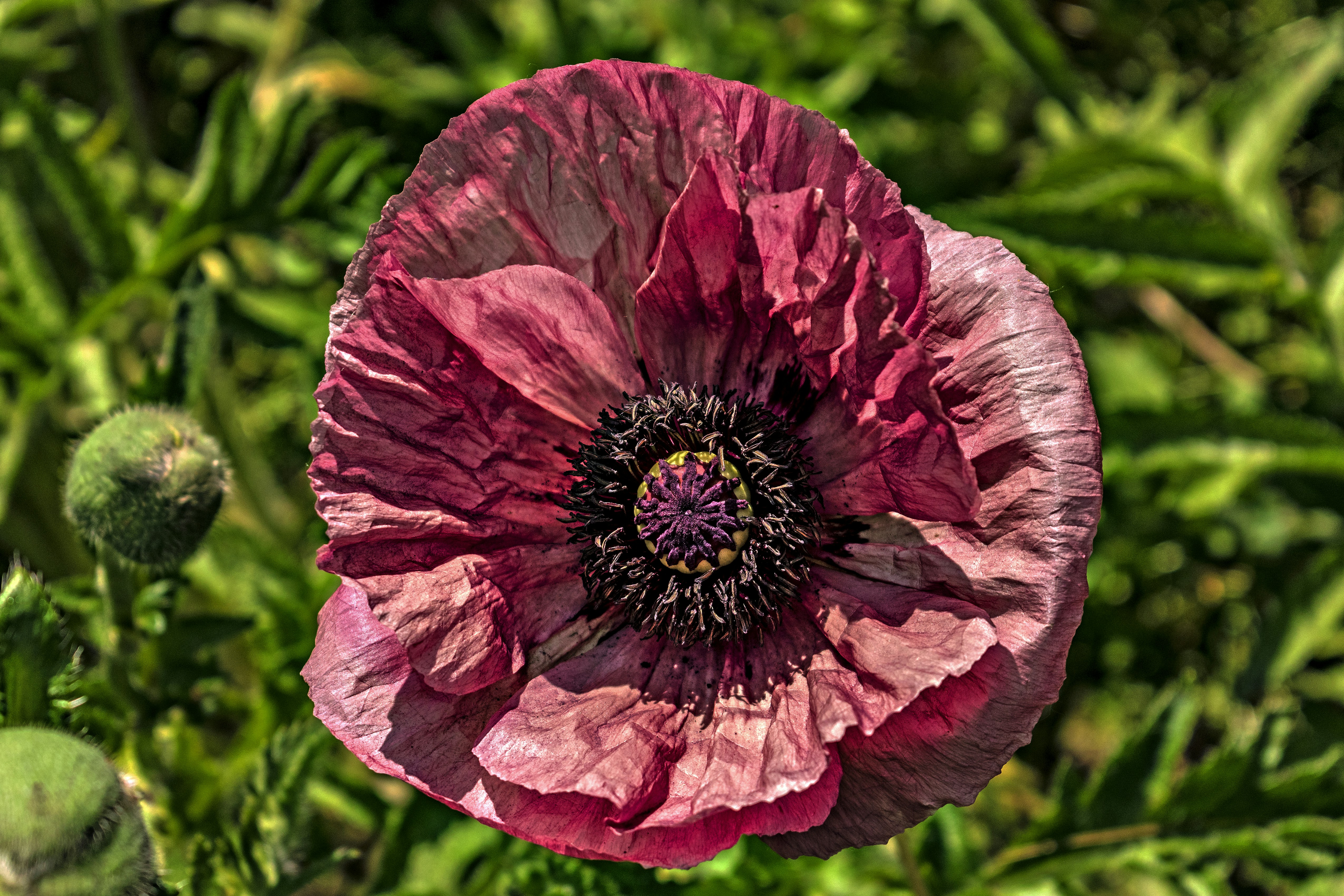 Photo by kostiantynvierkieiev