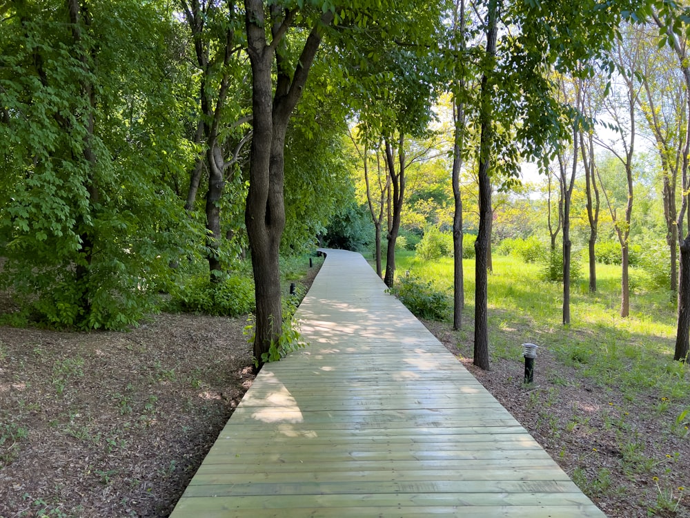 a wooden walkway in the middle of a forest