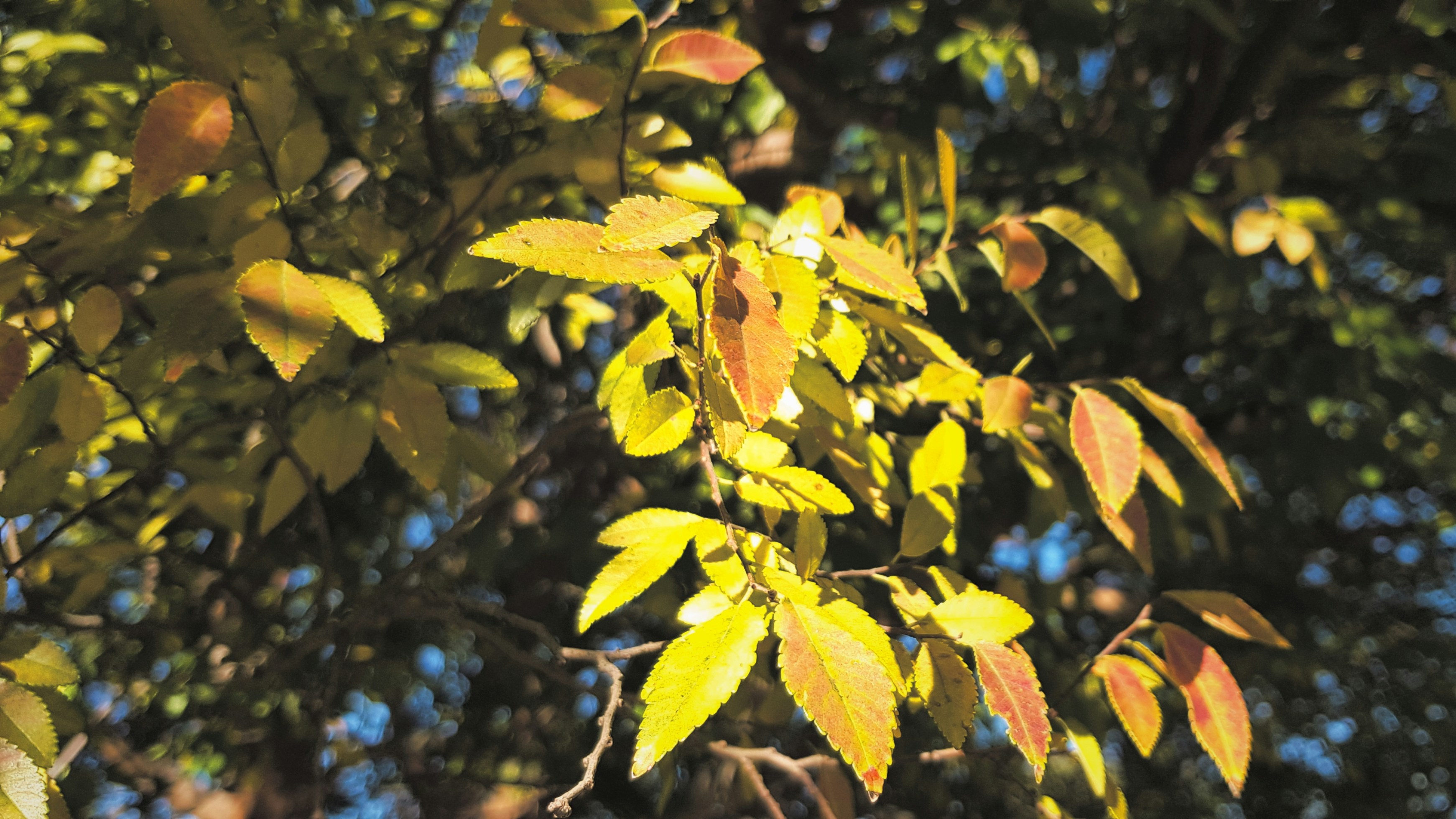 Photo by brittanys_meadow