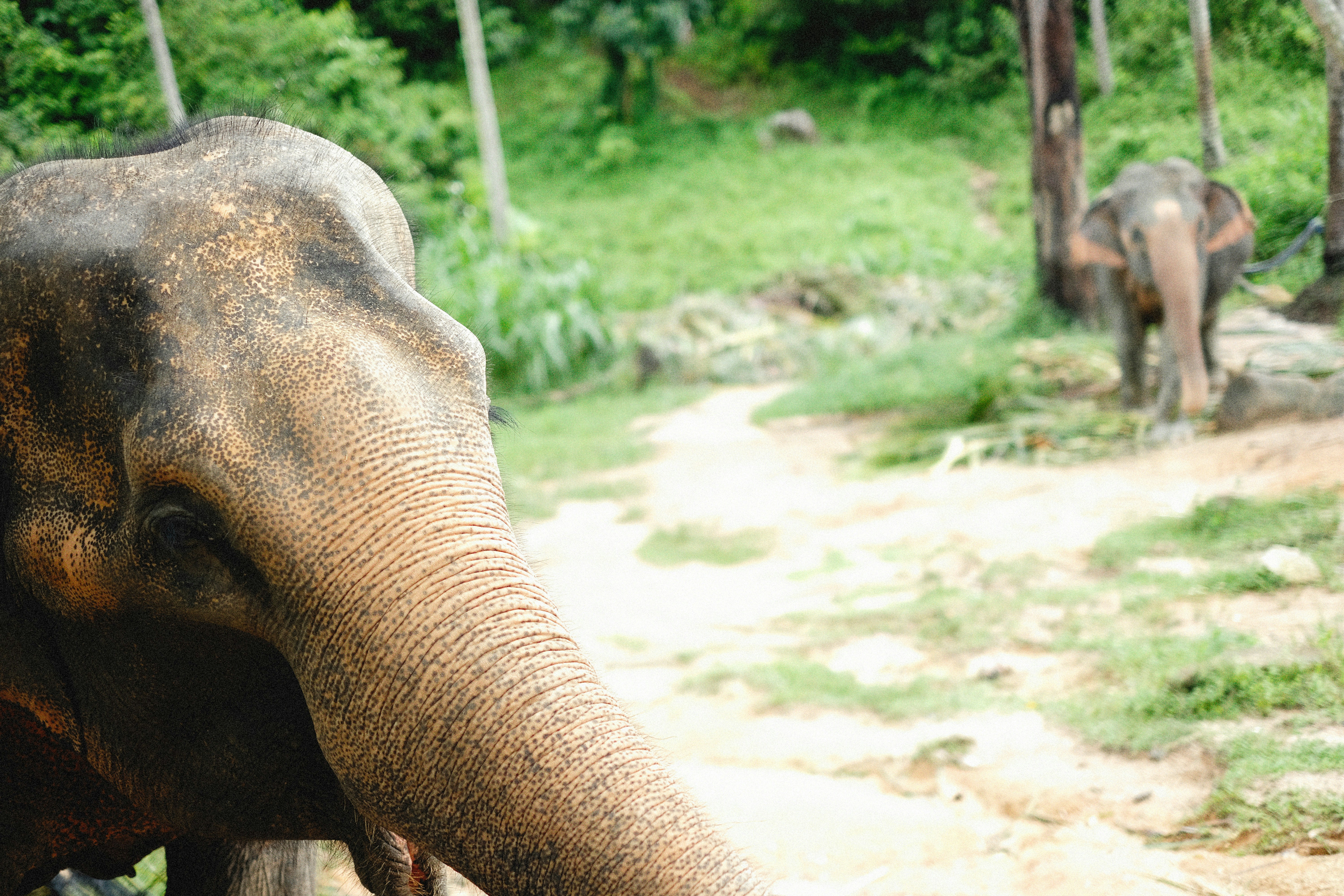 Photo by alexeydemidov