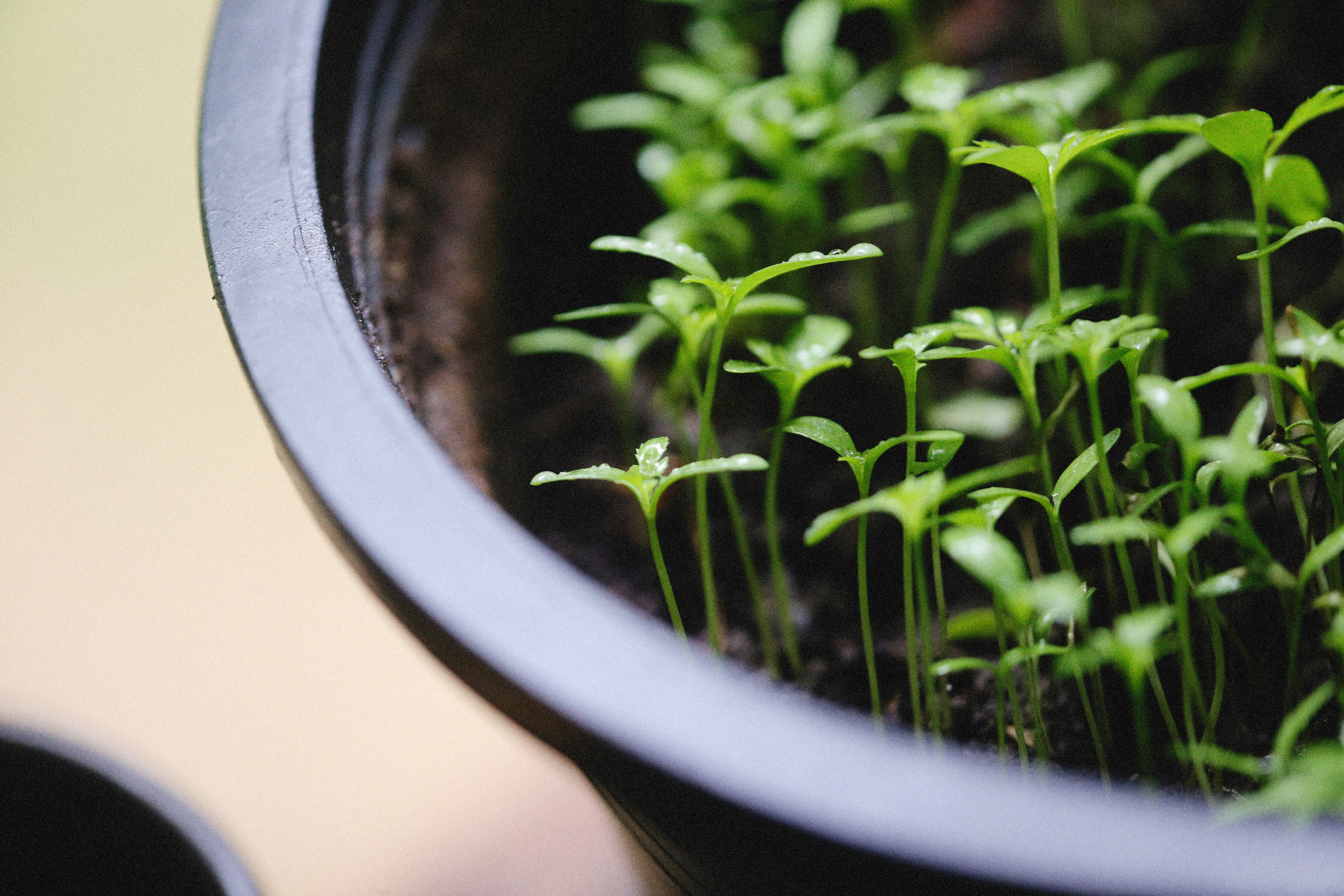 Photo by alexeydemidov