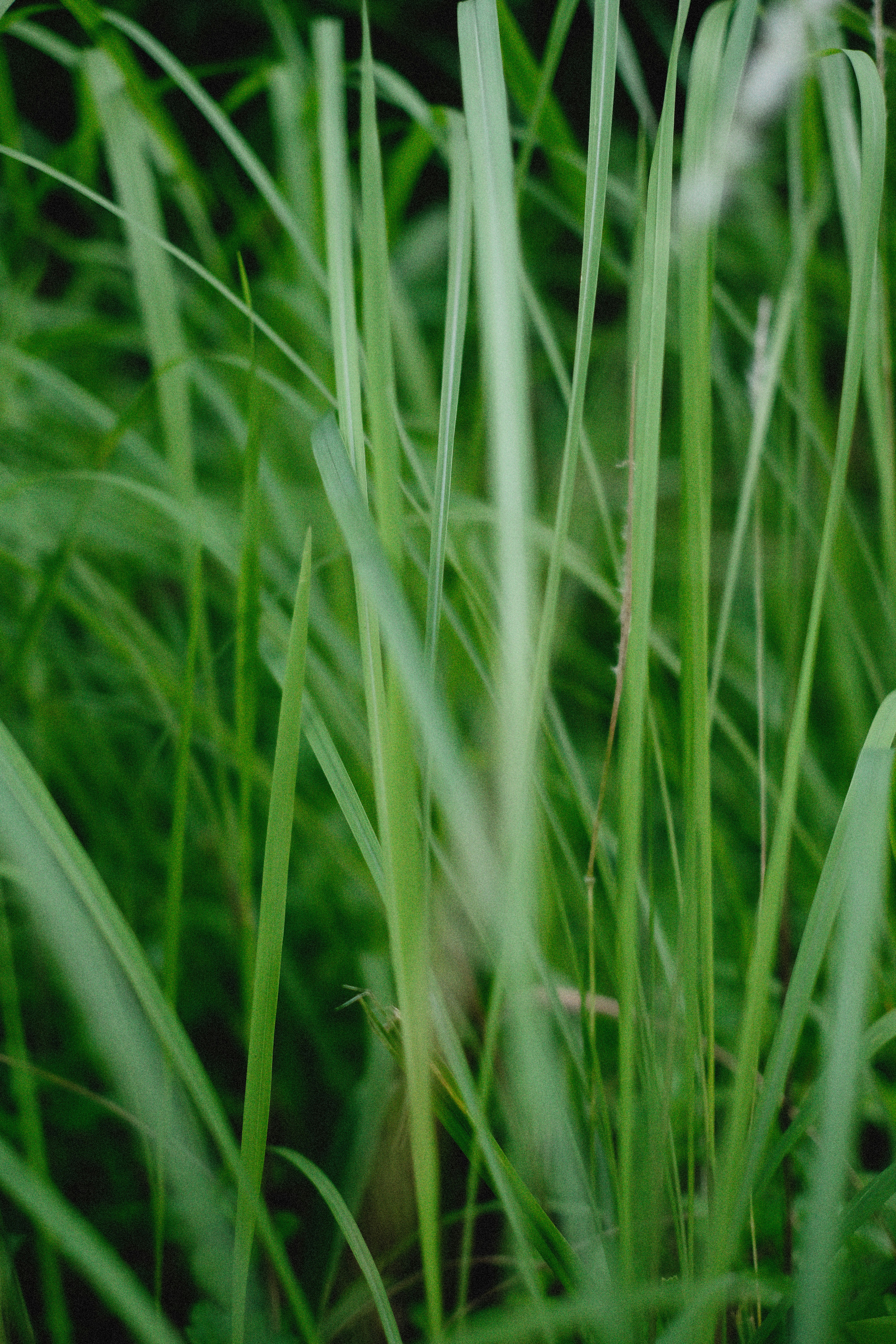 Photo by alexeydemidov