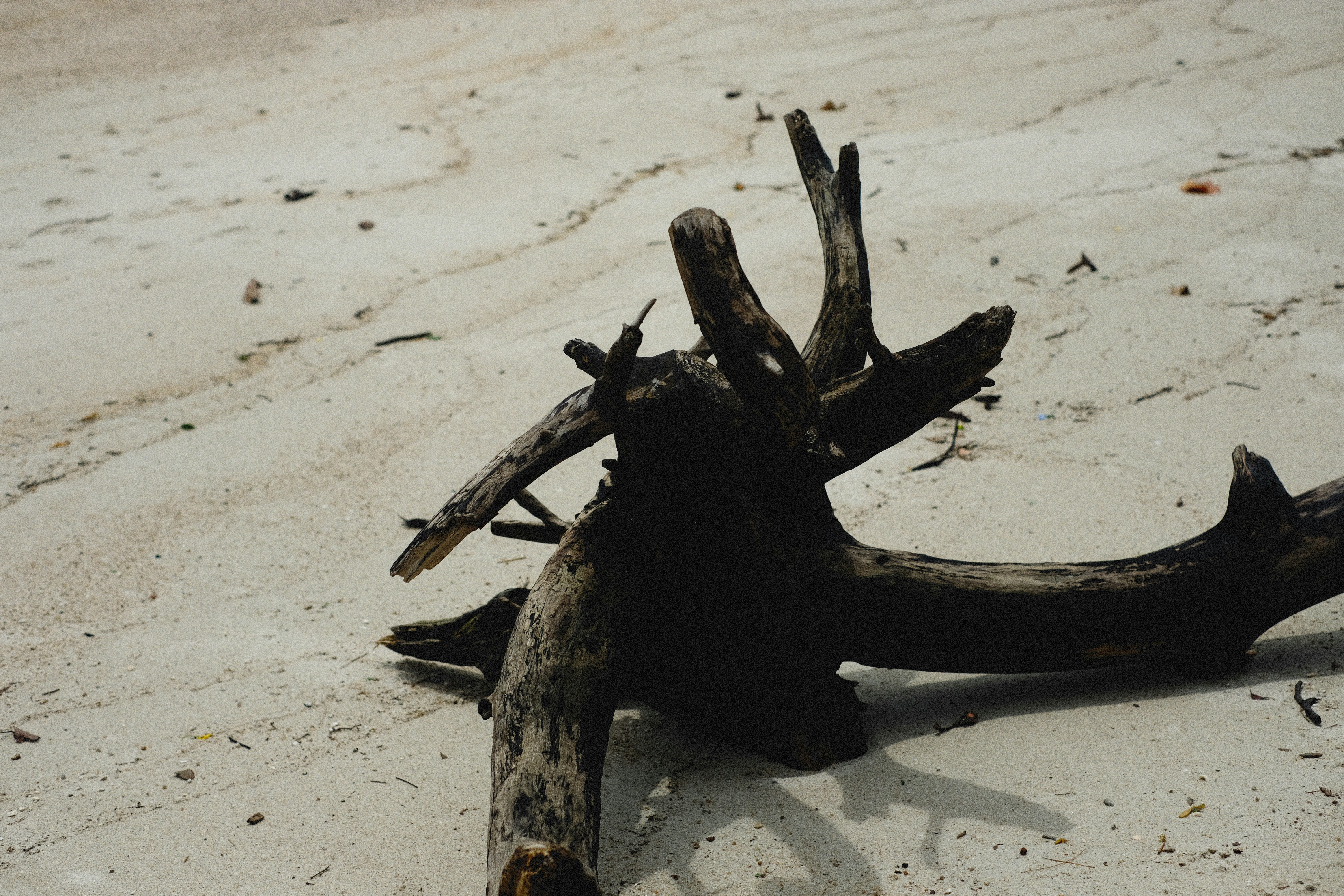 Photo by alexeydemidov