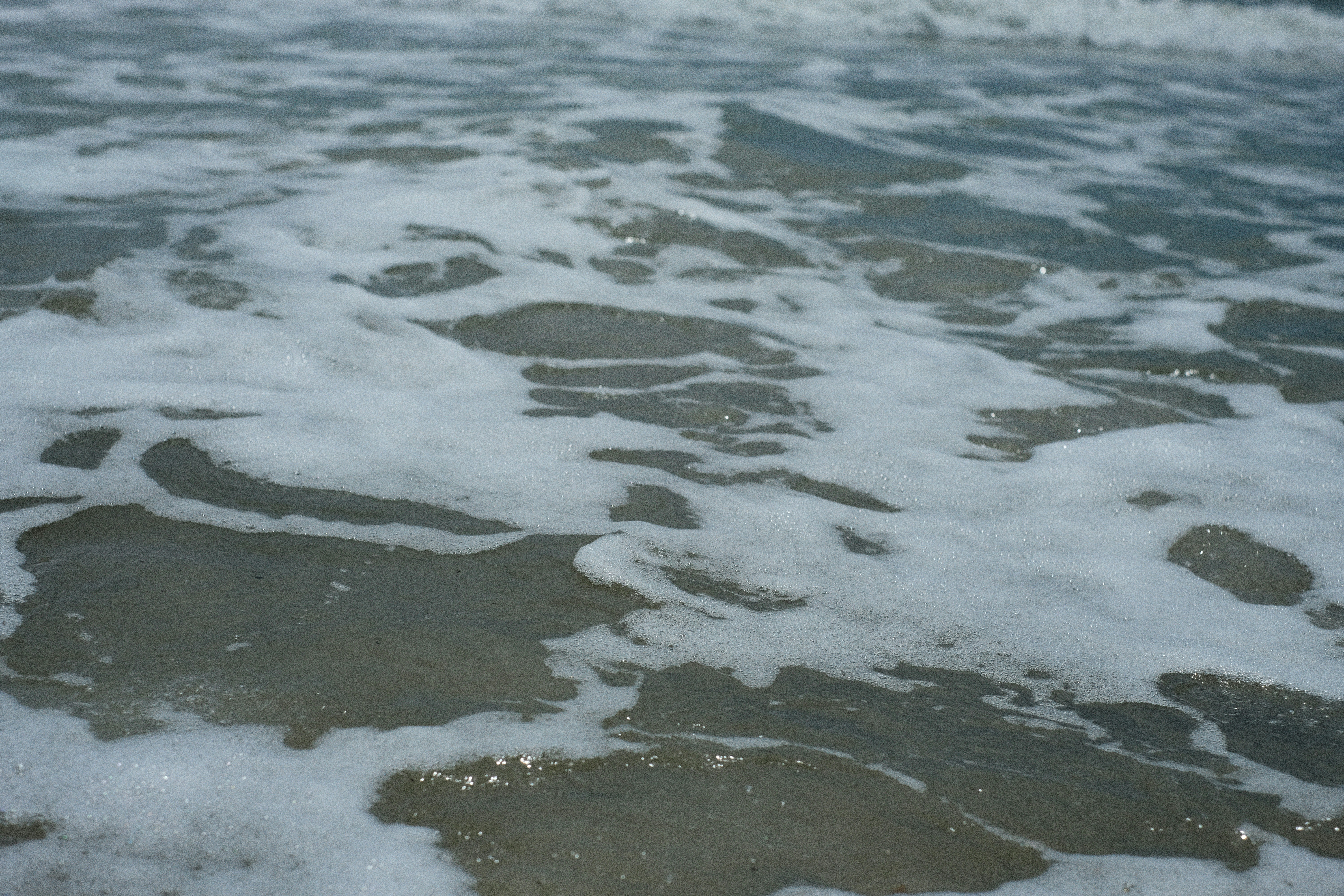 Photo by alexeydemidov