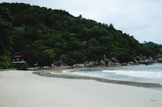 A serene beach scene with gentle waves washing onto a sandy shore. Dense green foliage covers the hill in the background, with a small structure nestled among the trees, providing a secluded and tranquil environment.