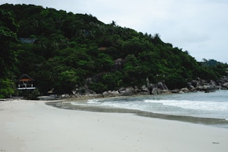 A serene beach scene with gentle waves washing onto a sandy shore. Dense green foliage covers the hill in the background, with a small structure nestled among the trees, providing a secluded and tranquil environment.