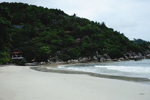A serene beach scene with gentle waves washing onto a sandy shore. Dense green foliage covers the hill in the background, with a small structure nestled among the trees, providing a secluded and tranquil environment.