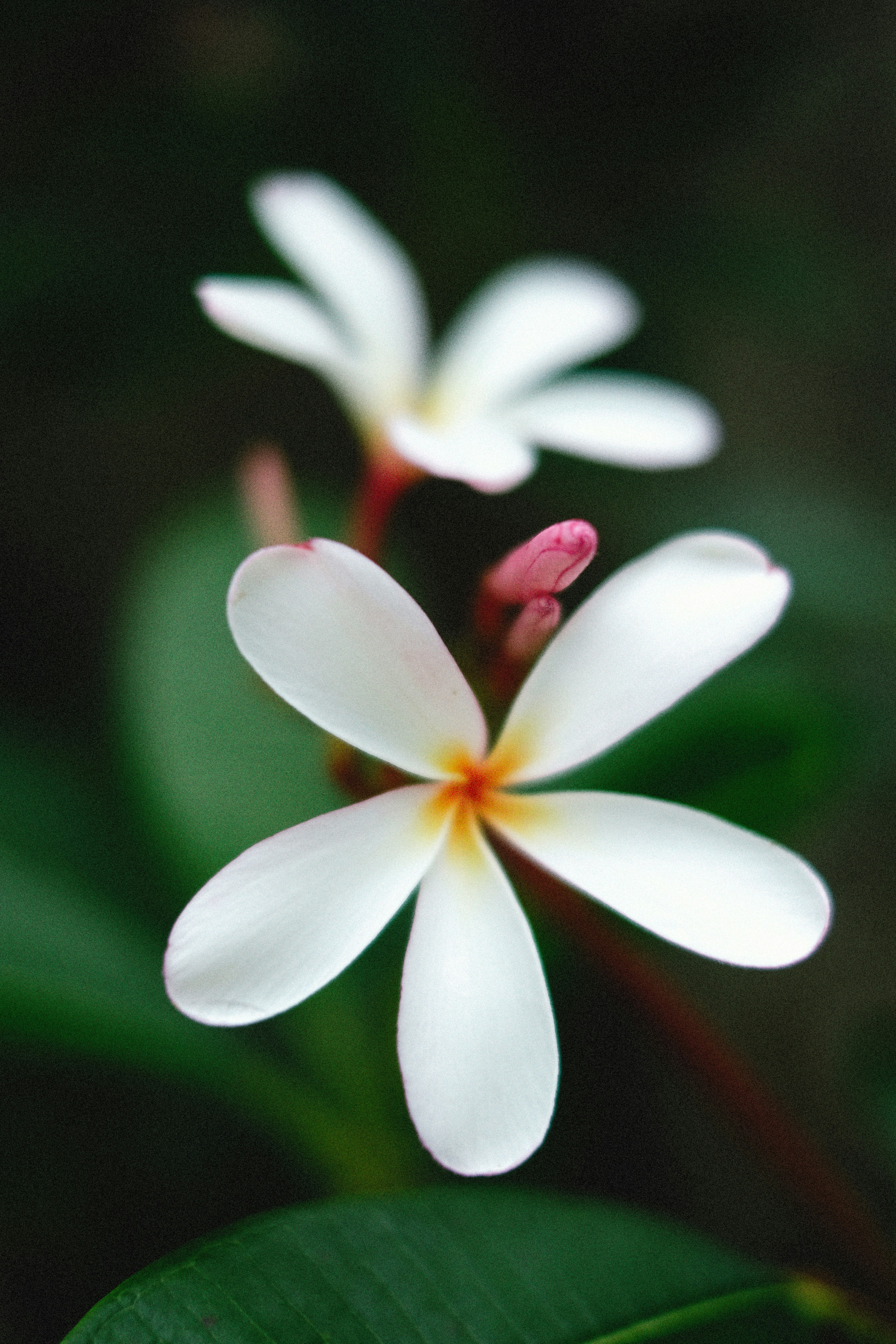 Photo by alexeydemidov