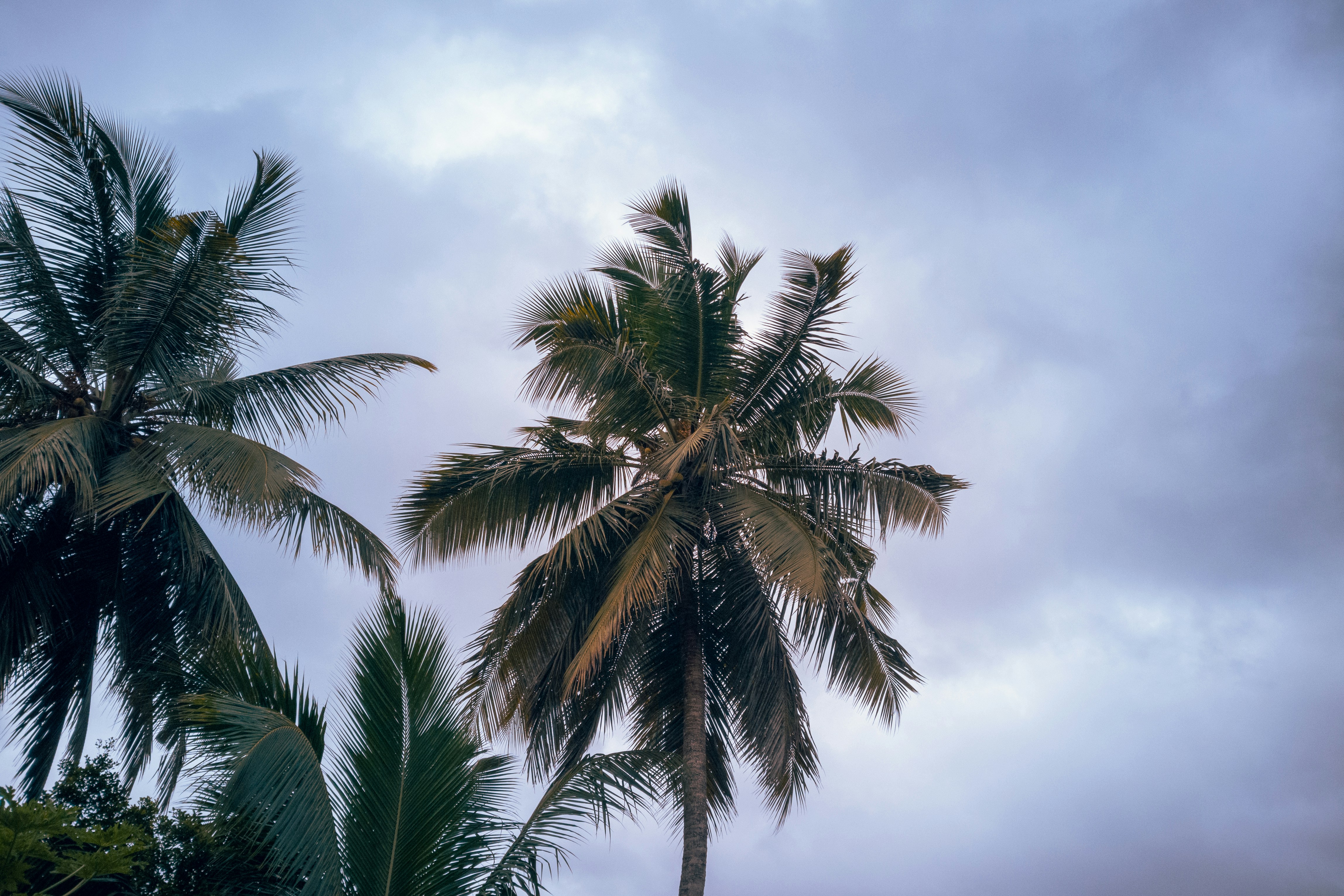 Photo by rivindhu_geeneth