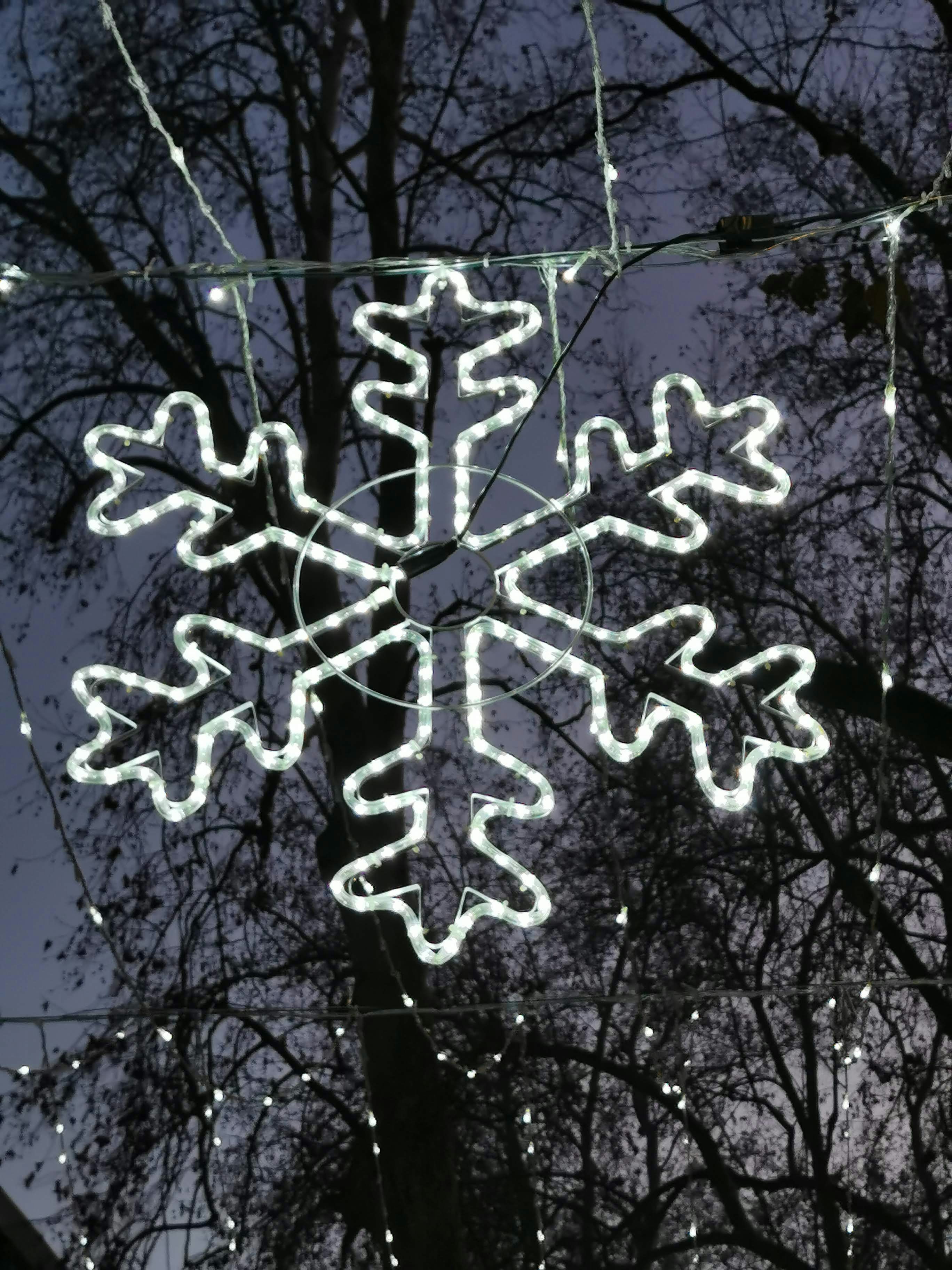 a lighted snowflake hanging from a tree
