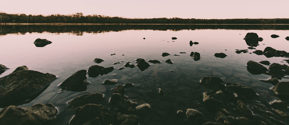 a body of water surrounded by rocks and trees