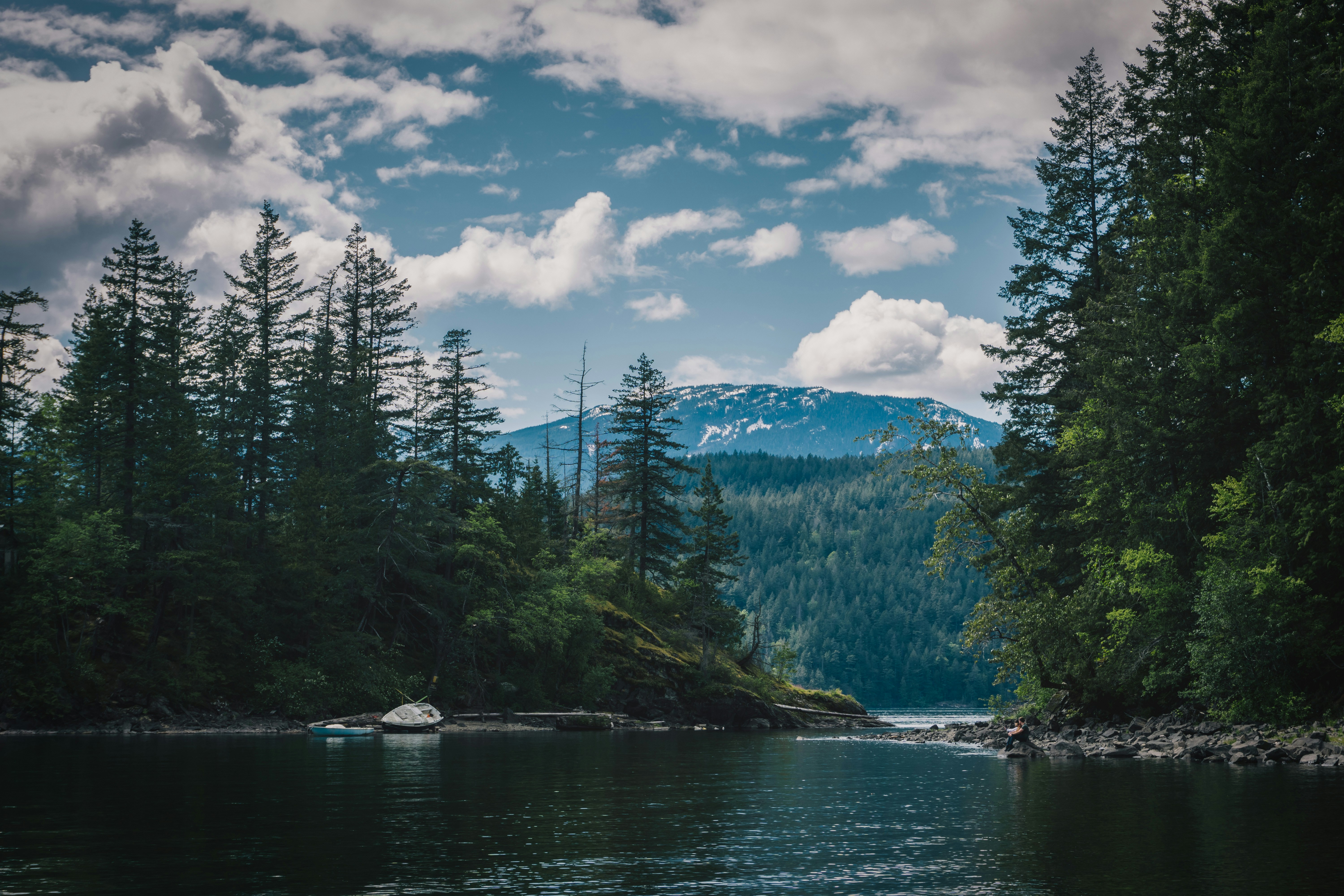 a body of water surrounded by trees and mountains