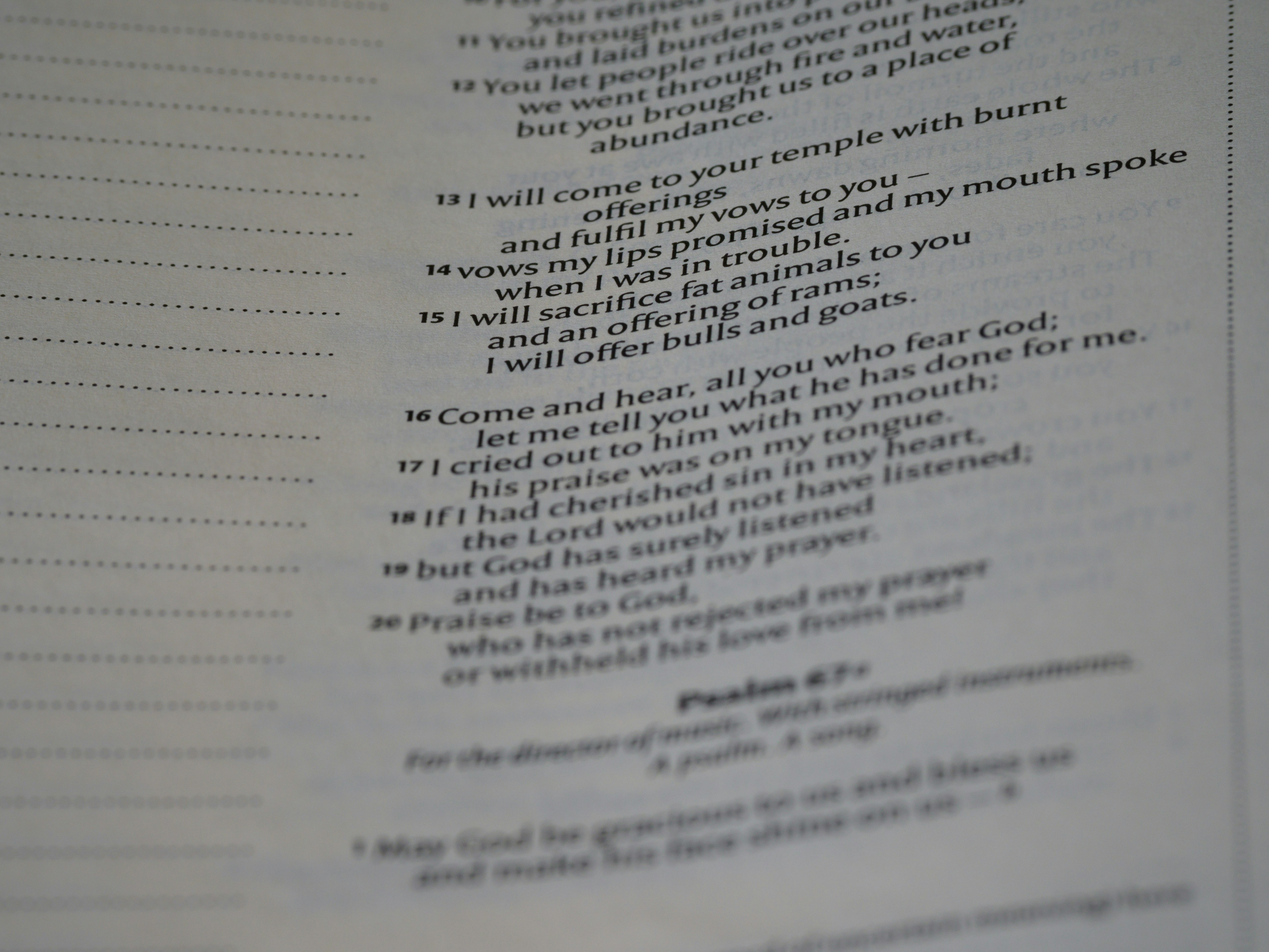 Photo by brett_jordan