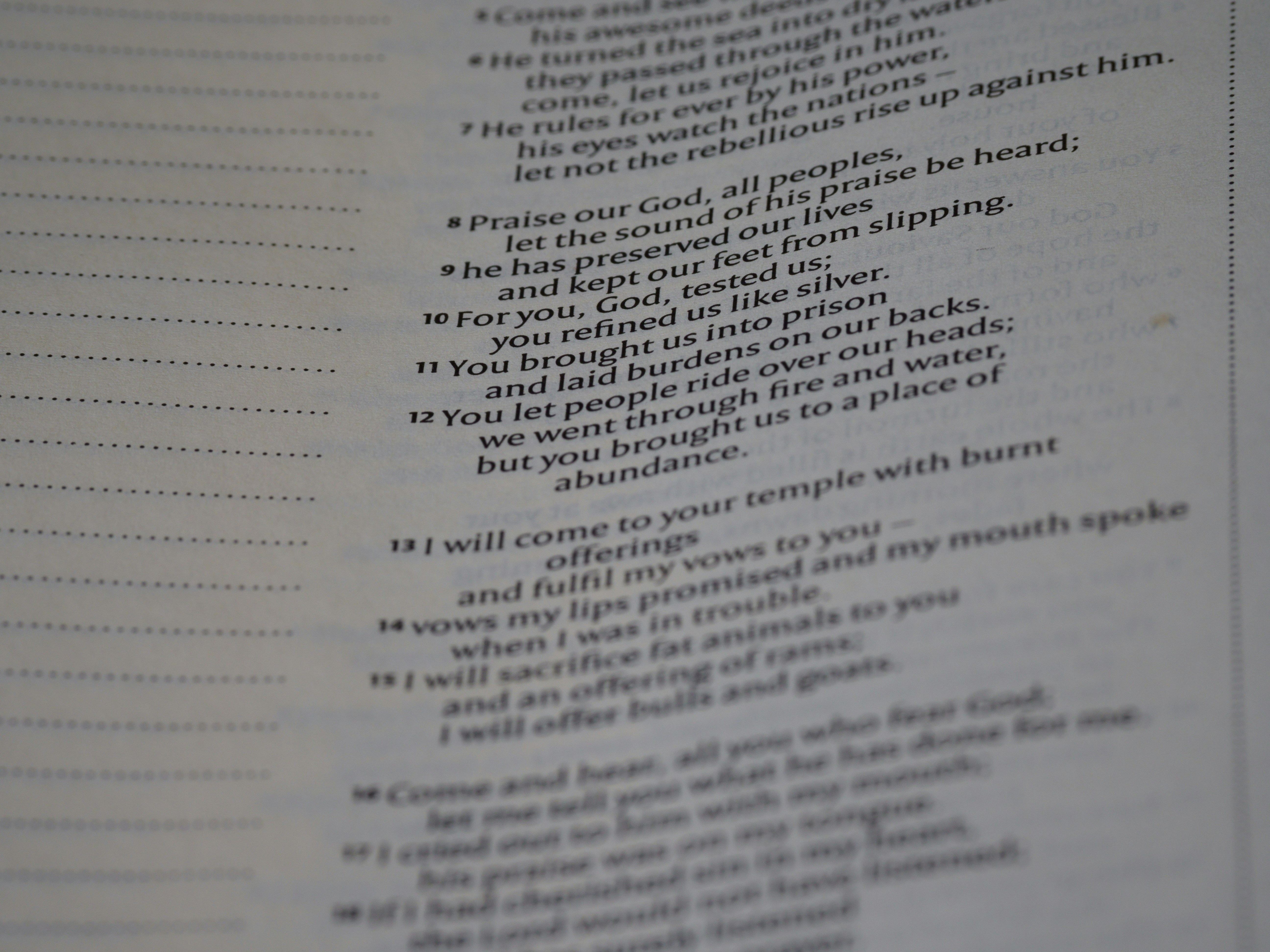 Photo by brett_jordan