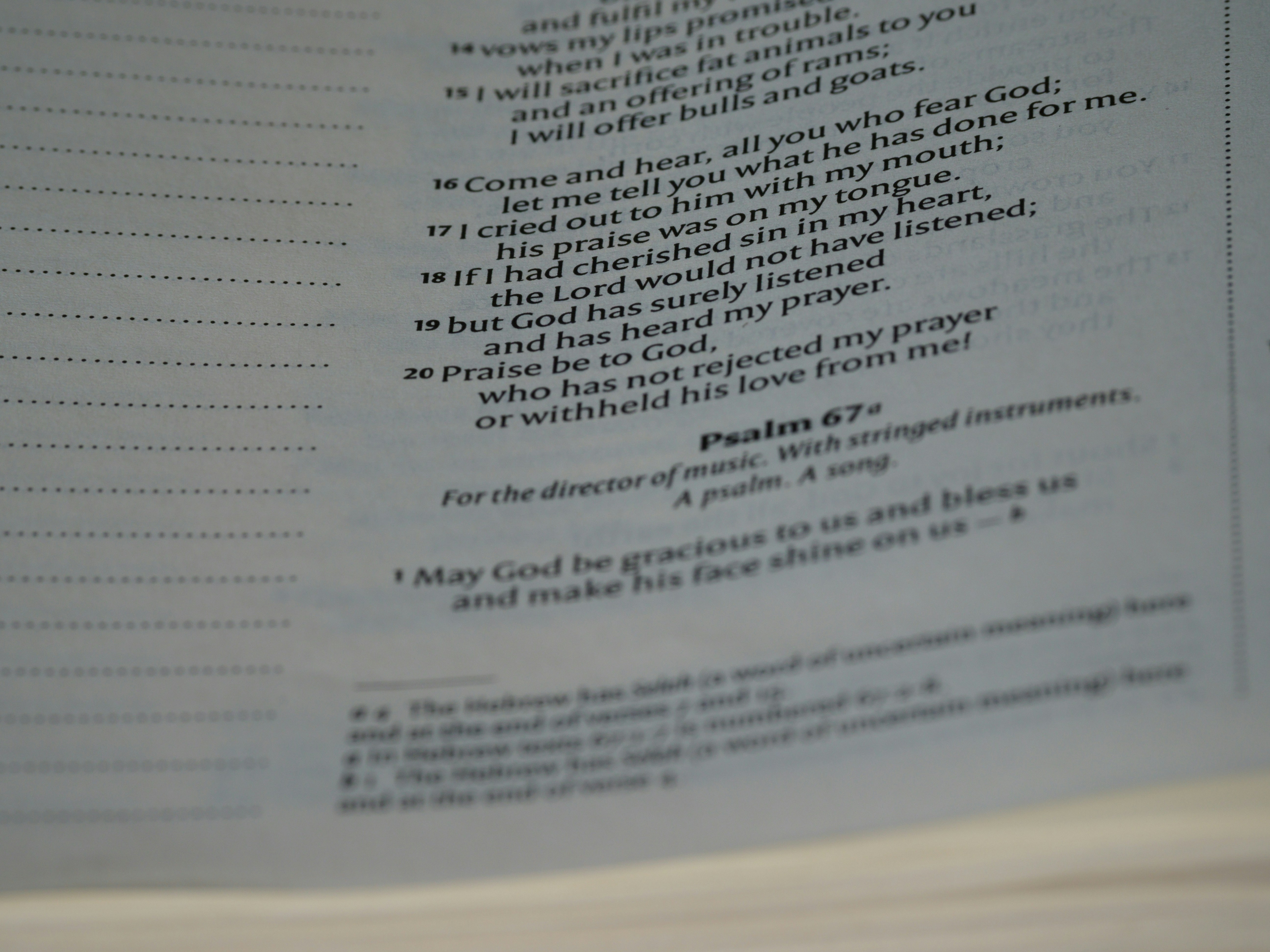 Photo by brett_jordan