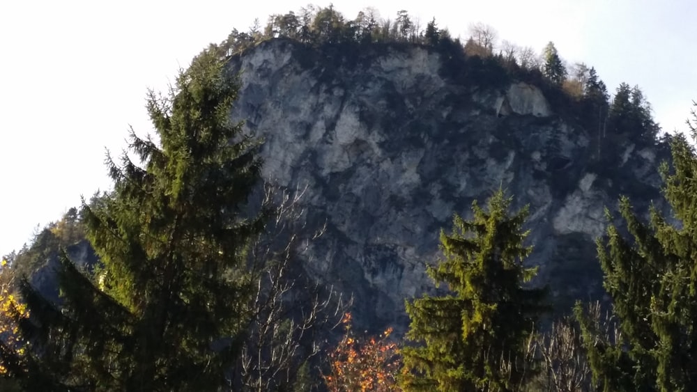 a large mountain with trees in front of it